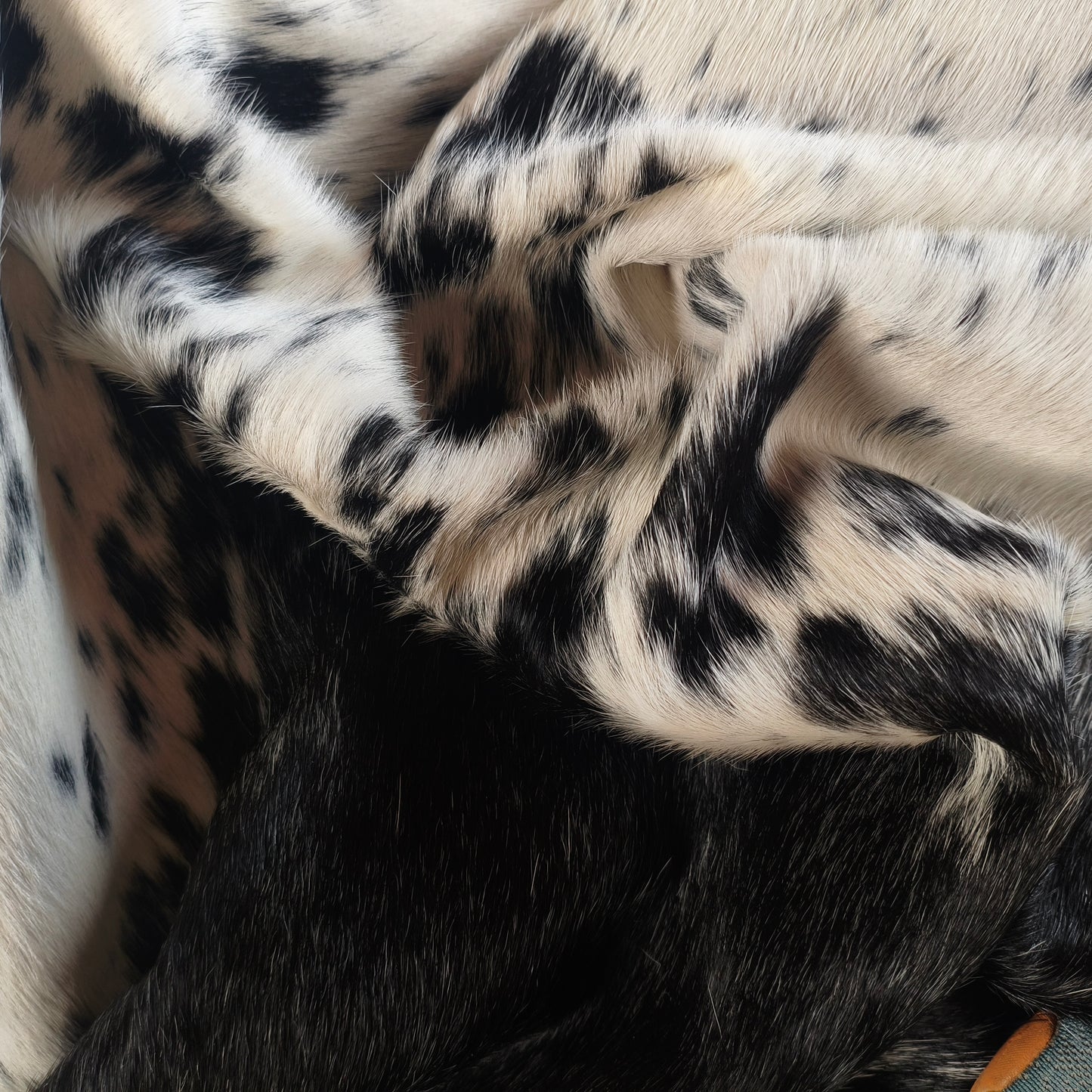 Tapete de couro de boi natural exótico preto e branco EXC1044 — foto real 4