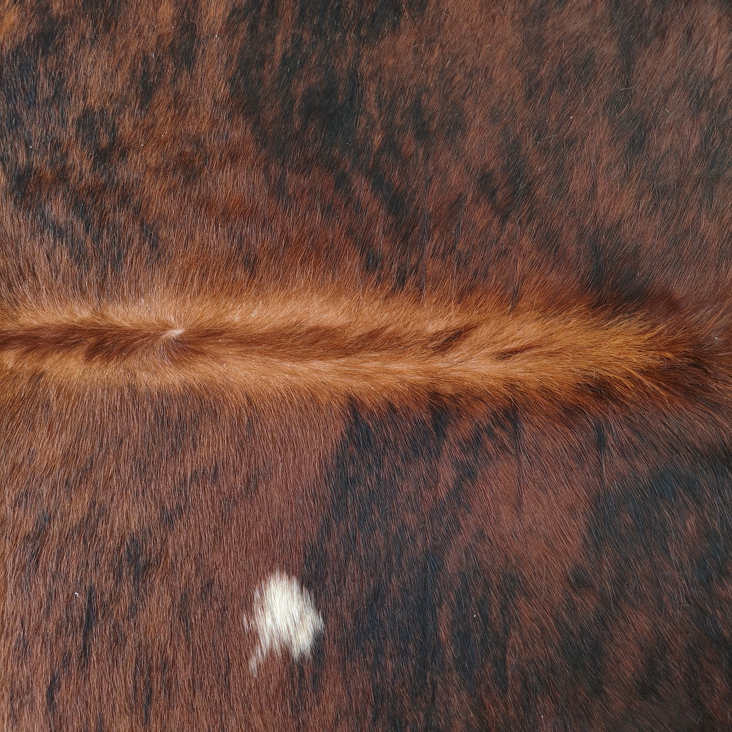Tapete de couro de boi natural brazino escuro BZE1079 — foto real 2