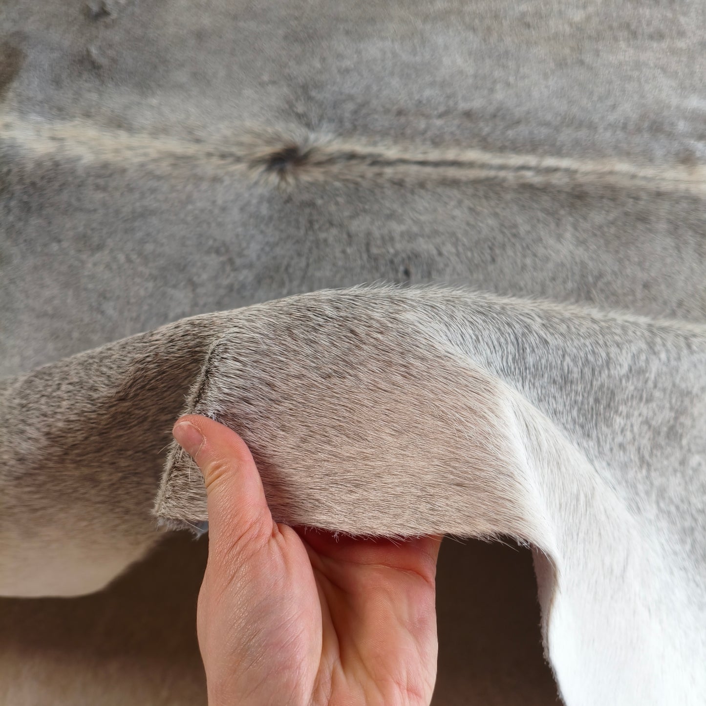 Tapete de couro de boi natural cinza e branco pelo curto macio GR1036 — foto real 3