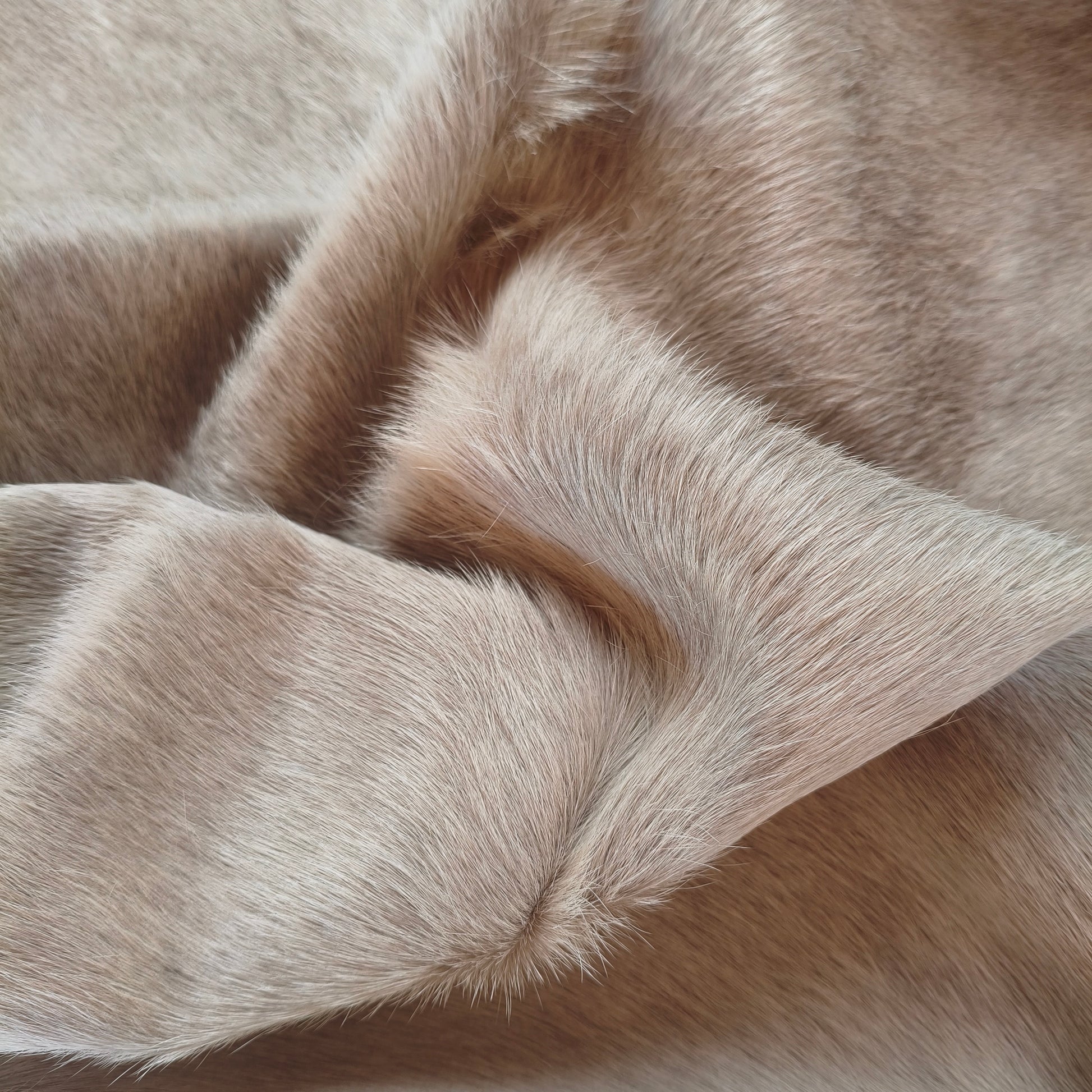 Tapete de couro de boi natural exótico pérola EXC1054 — foto real 4