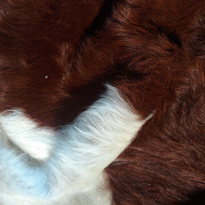 Tapete de couro de boi vermelho e branco pelo alto VB1014 — foto real 4