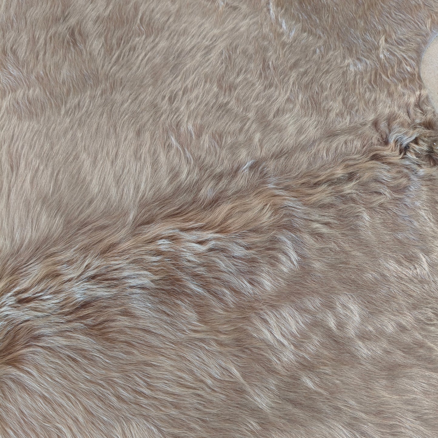 Tapete de couro de boi bege e branco BE987 — foto real 2