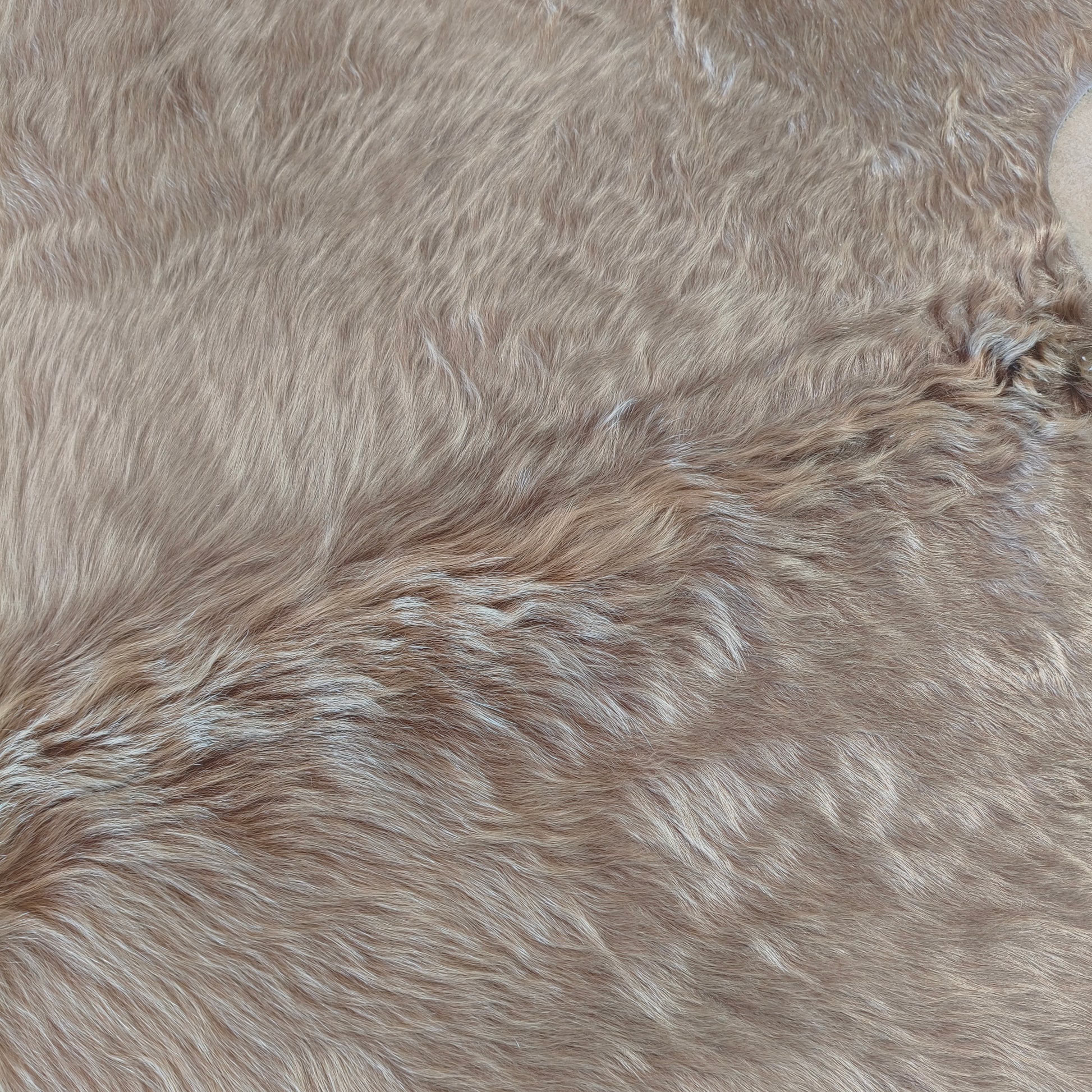 Tapete de couro de boi bege e branco BE987 — foto real 2