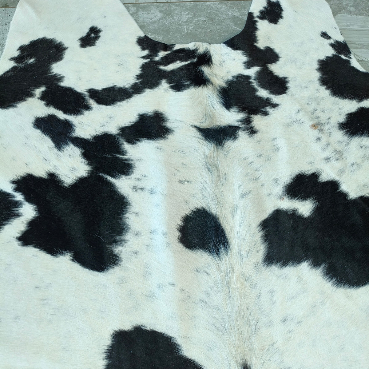 Manchas pretas bem recortadas sobre o fundo branco do tapete bovino PB1314