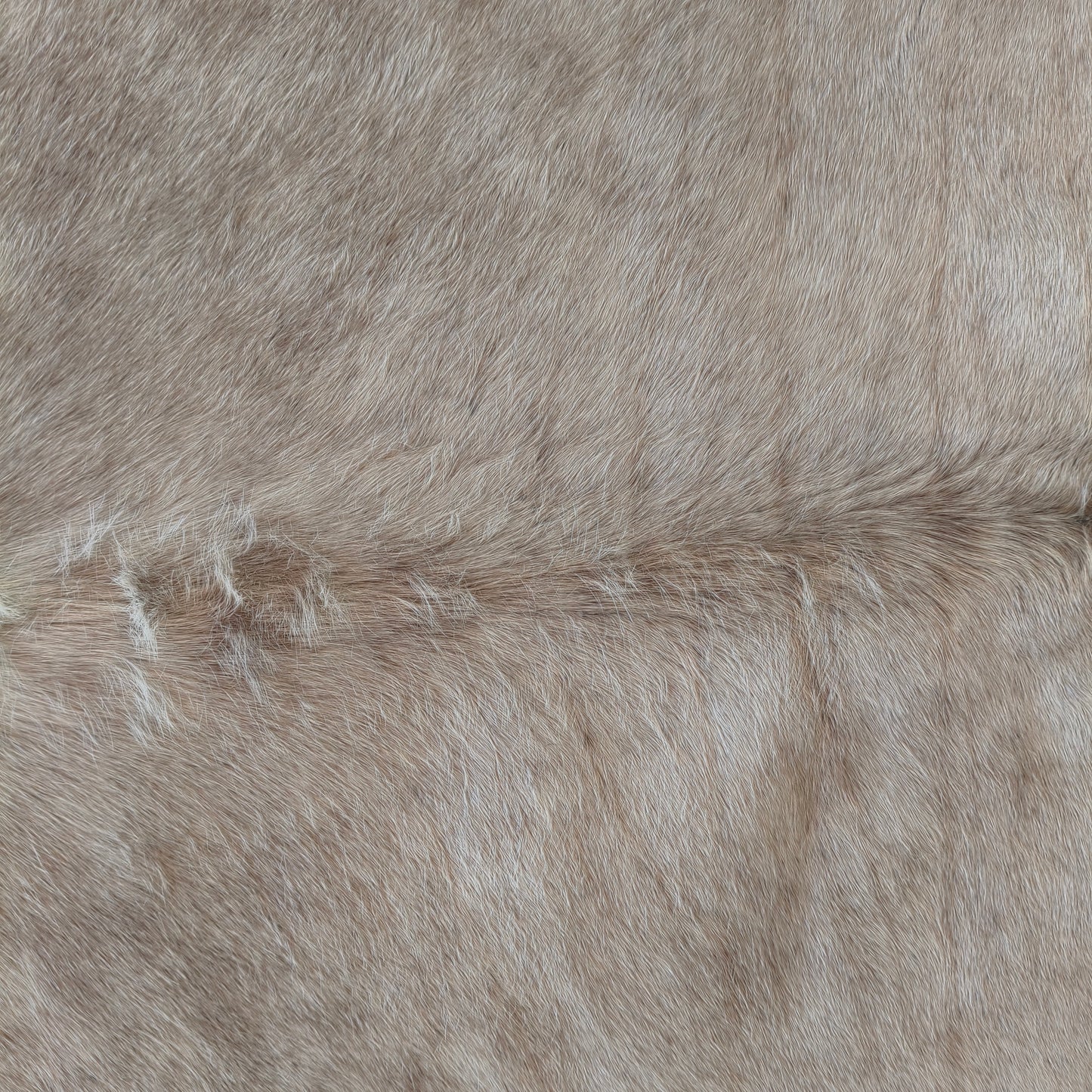 Tapete de couro de boi natural exótico pérola EXC1054 — foto real 2