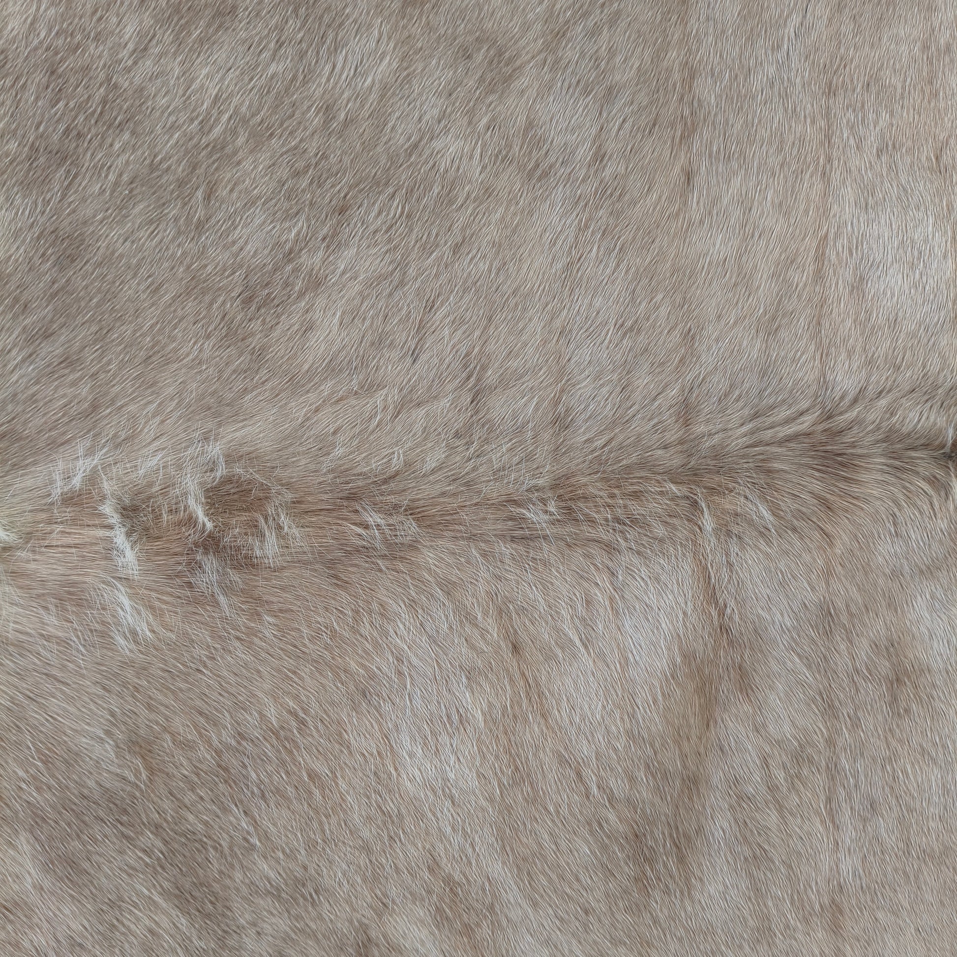 Tapete de couro de boi natural exótico pérola EXC1054 — foto real 2