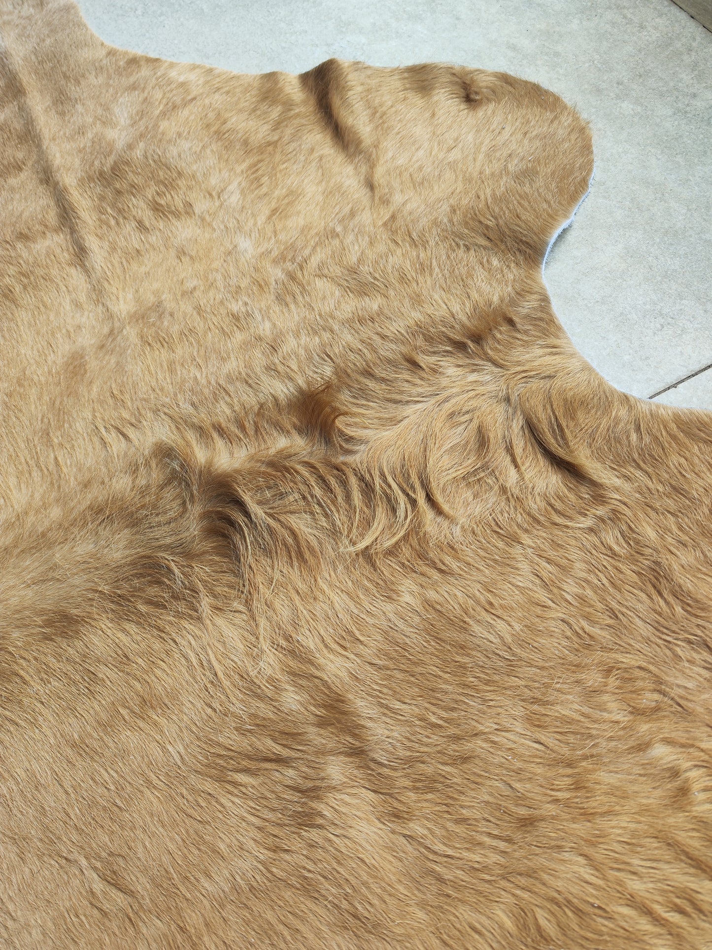 Tapete Bovino Natural Bege Claro I BC805 I 1,97x1,85m (Caramelo)
