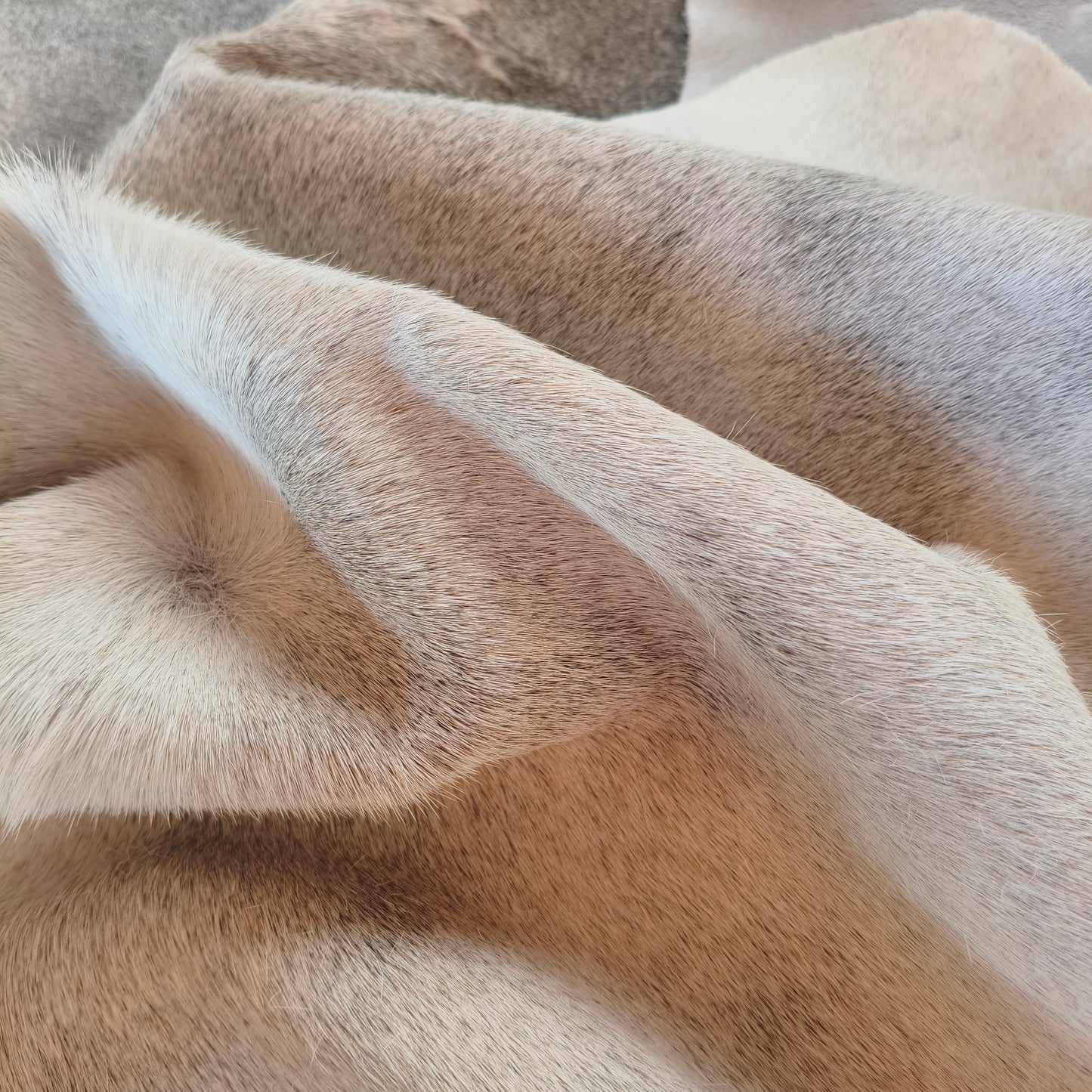 Tapete de couro de boi natural cinza e branco pelo curto macio GR1053 — foto real 4