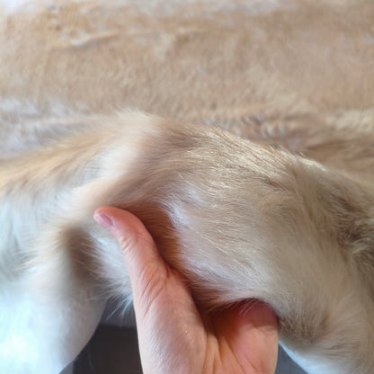 Tapete de couro de boi bege e branco BE987 — foto real 3