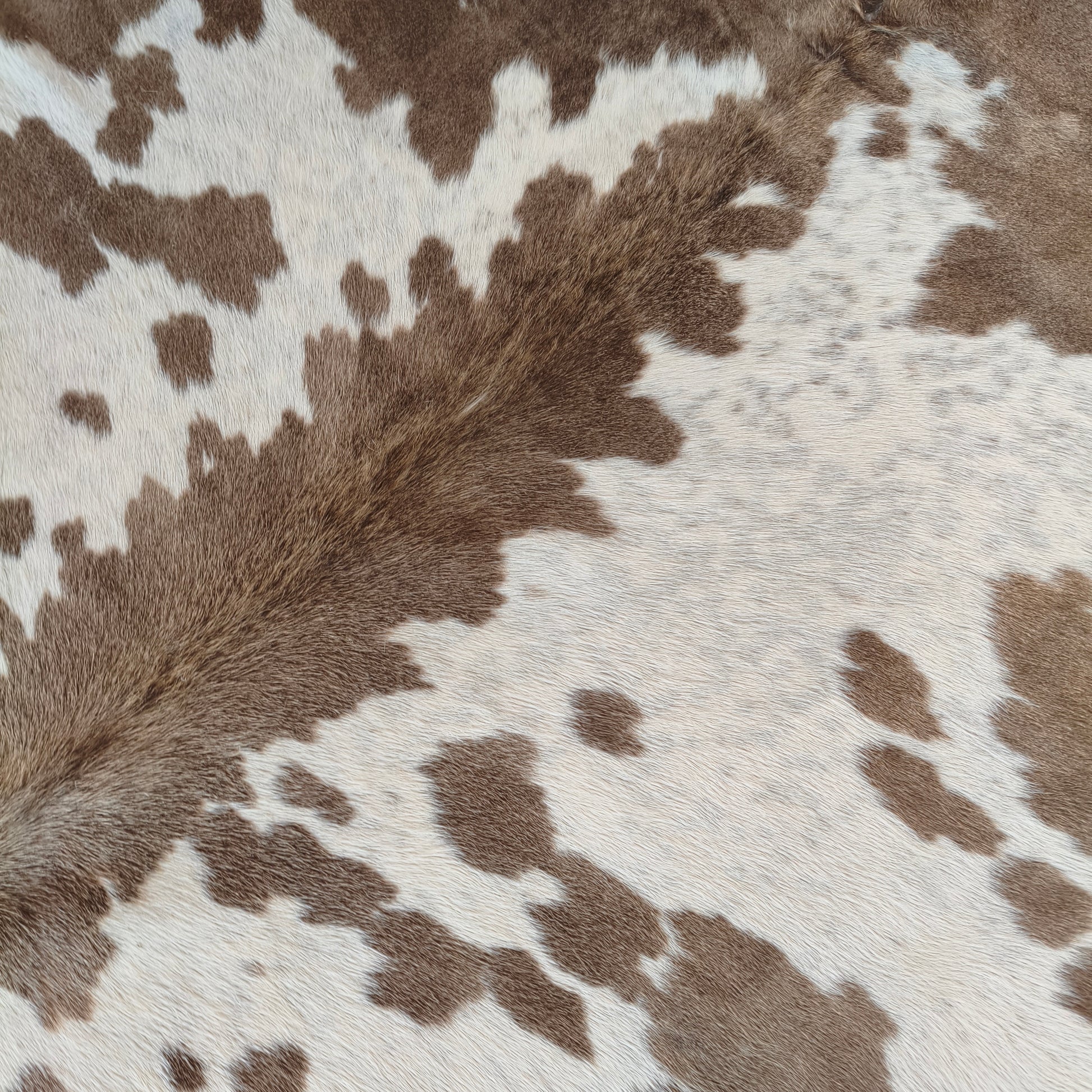 Tapete de couro de boi natural exótico tricolor EXC1039 — foto real 2