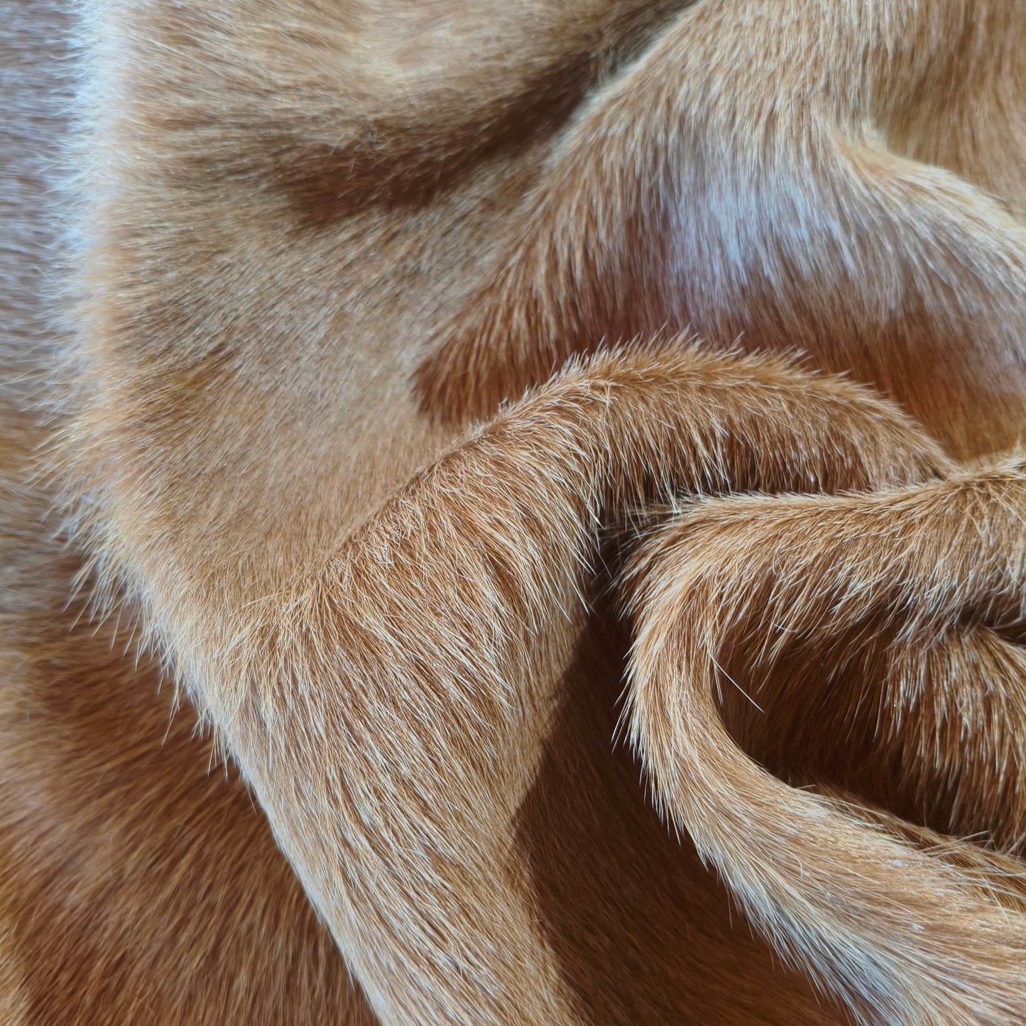 Tapete de couro de boi marrom gold BE995 — foto real 4