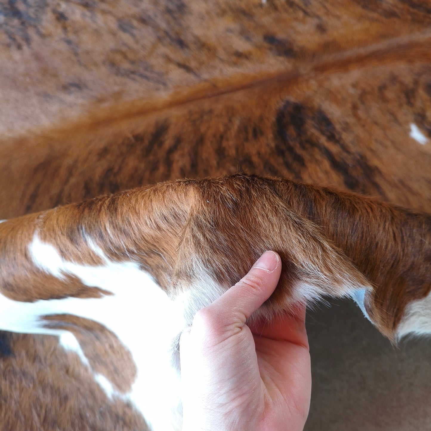Tapete de couro de boi natural brazino escuro BZE1075 — foto real 4
