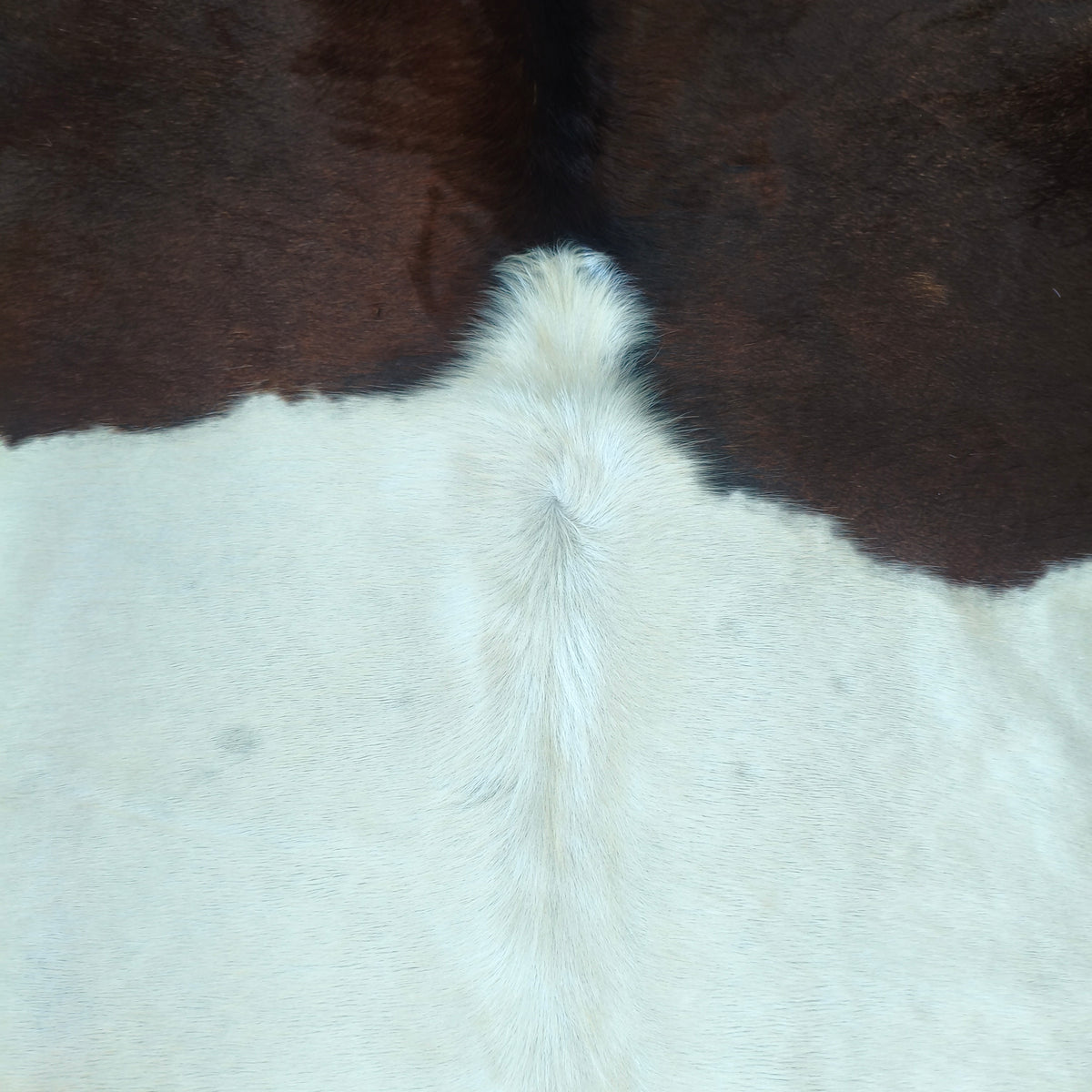 Tapete Bovino Exótico Vermelho e Branco pelo Curto  I EX1294 I 2,22 x 2,10m