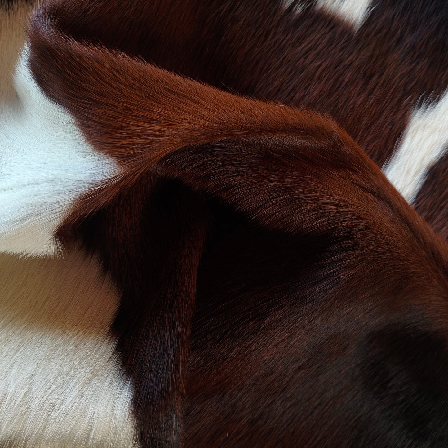 Tapete de couro de boi natural exótico cinza e branco EXC1034 — foto real 4