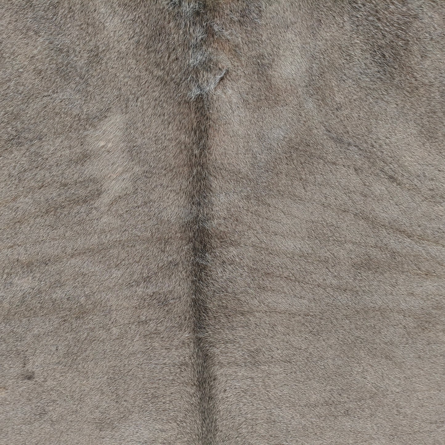 Tapete de couro de boi natural cinza e branco pelo curto macio GR1071 — foto real 2