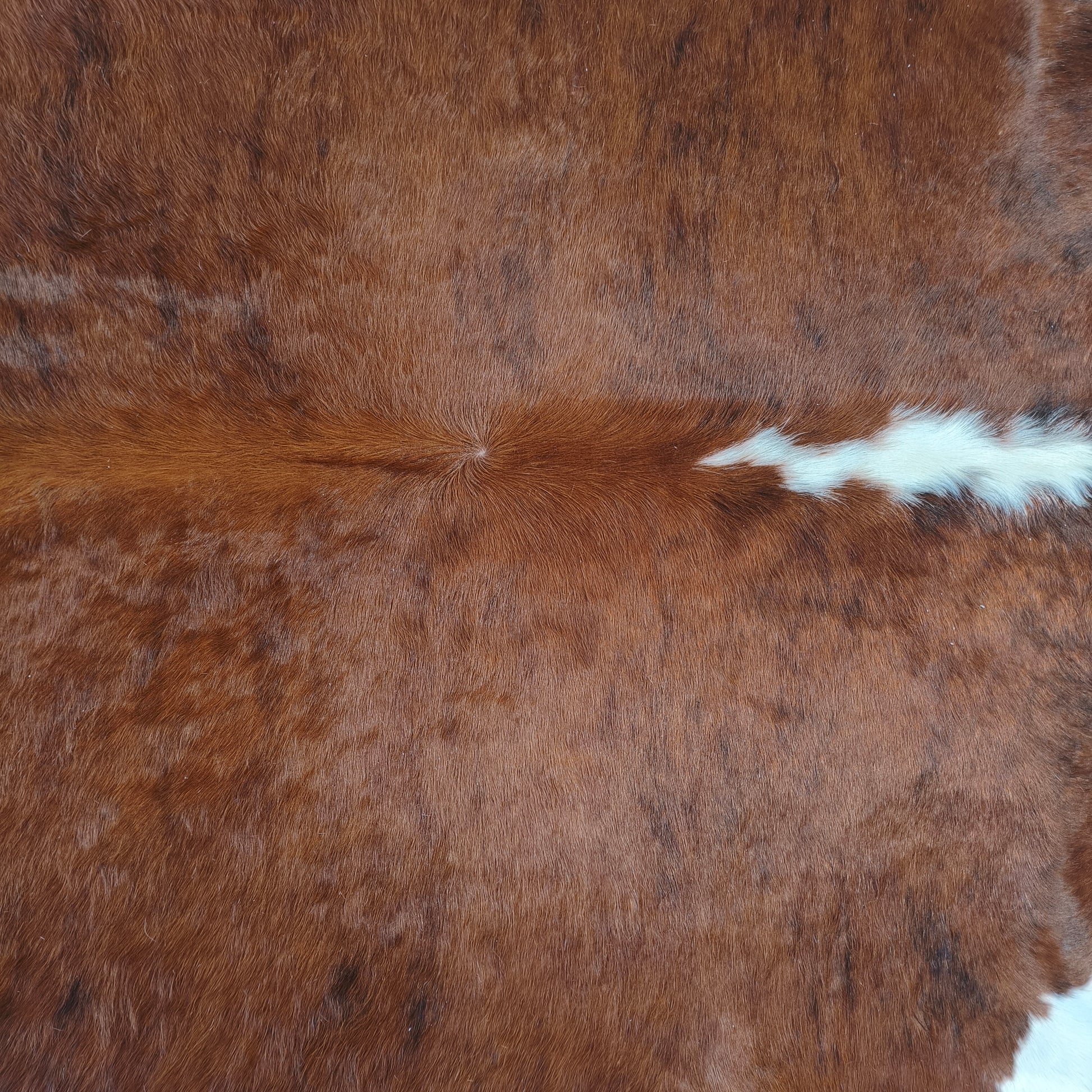 Tapete de couro de boi vermelho e branco brilhoso VB1004 — foto real 2