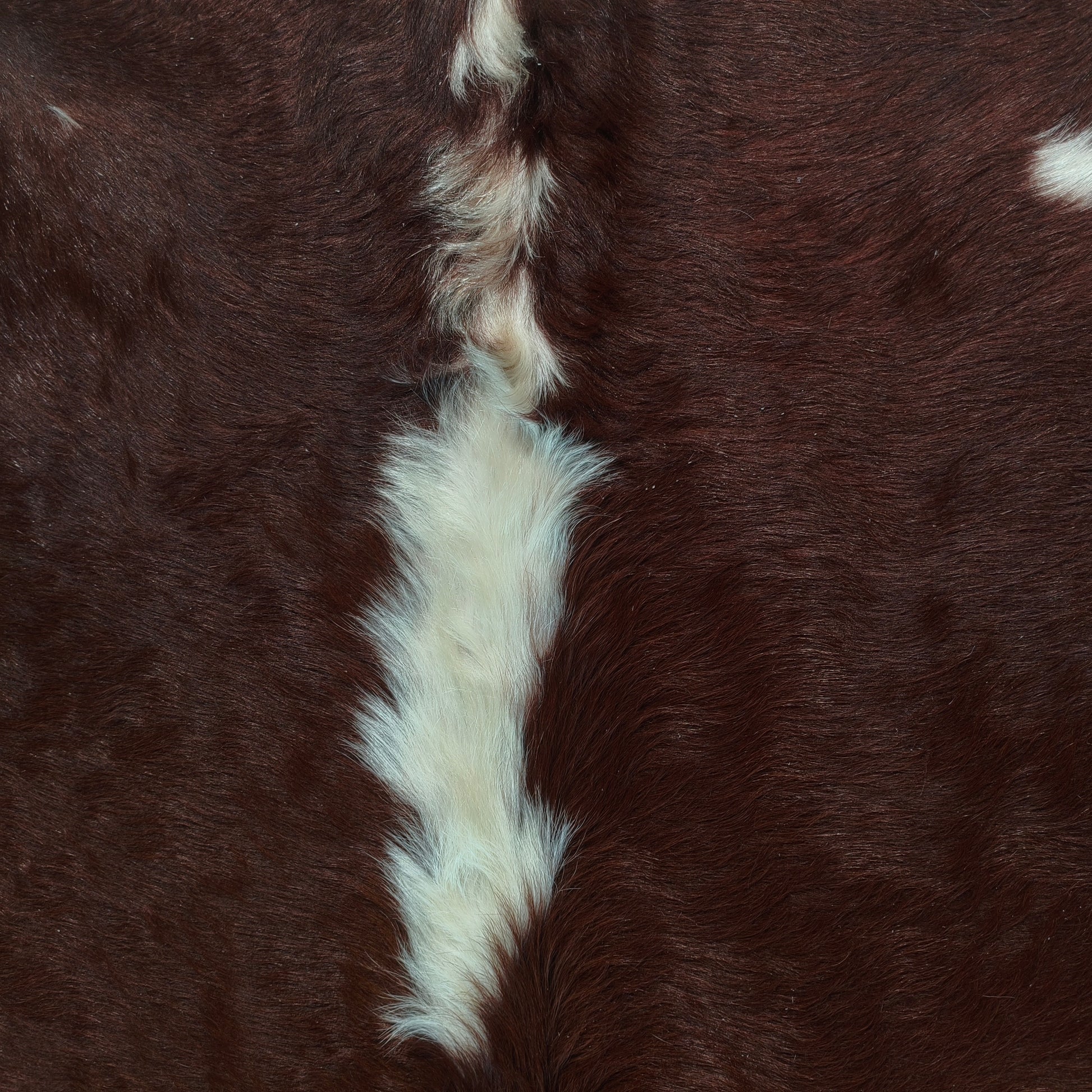 Tapete de couro de boi vermelho e branco pelo alto VB1014 — foto real 2