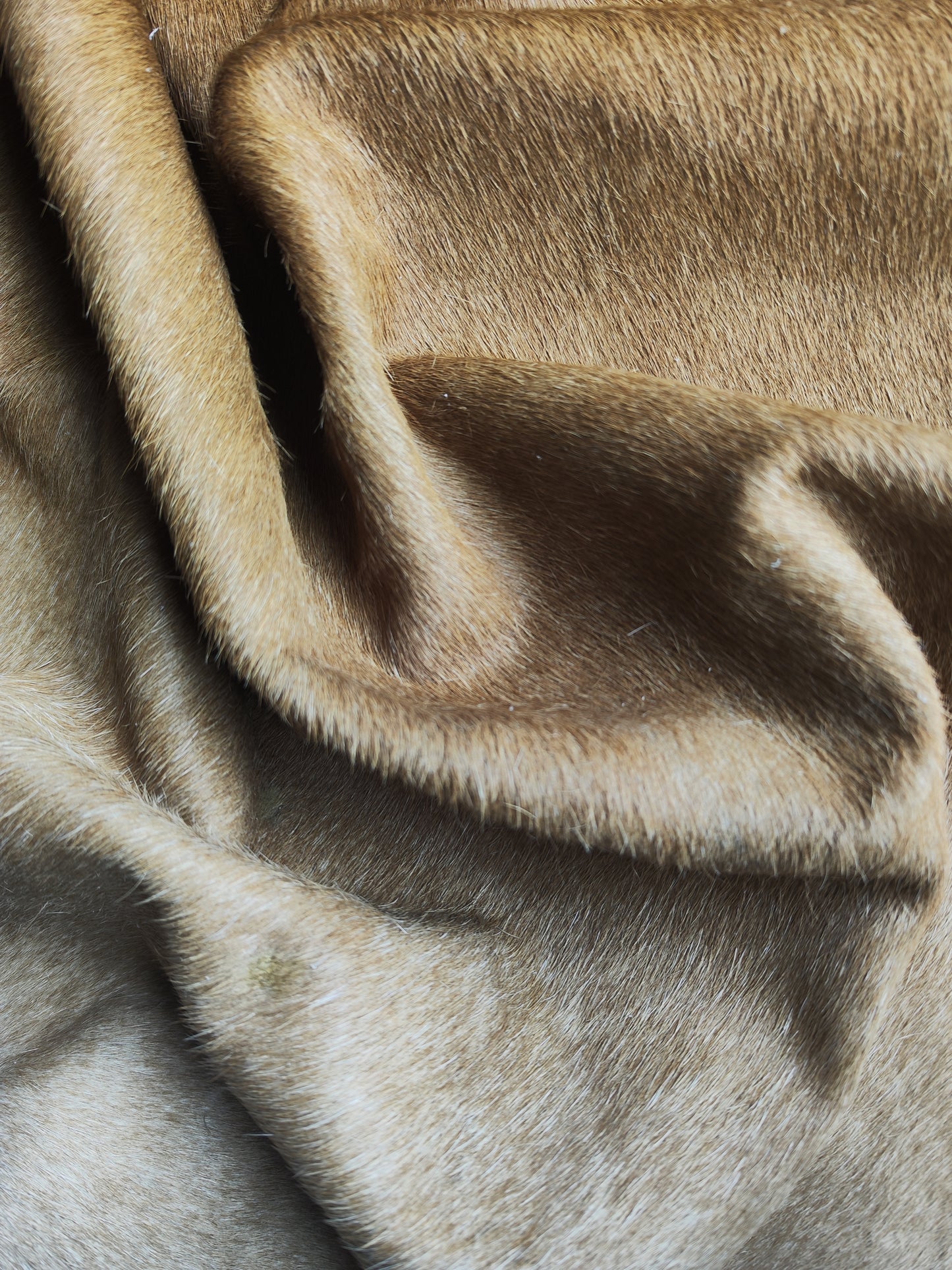 Tapete Bovino Natural Bege Escuro I BE818 I 1,95x1,96m