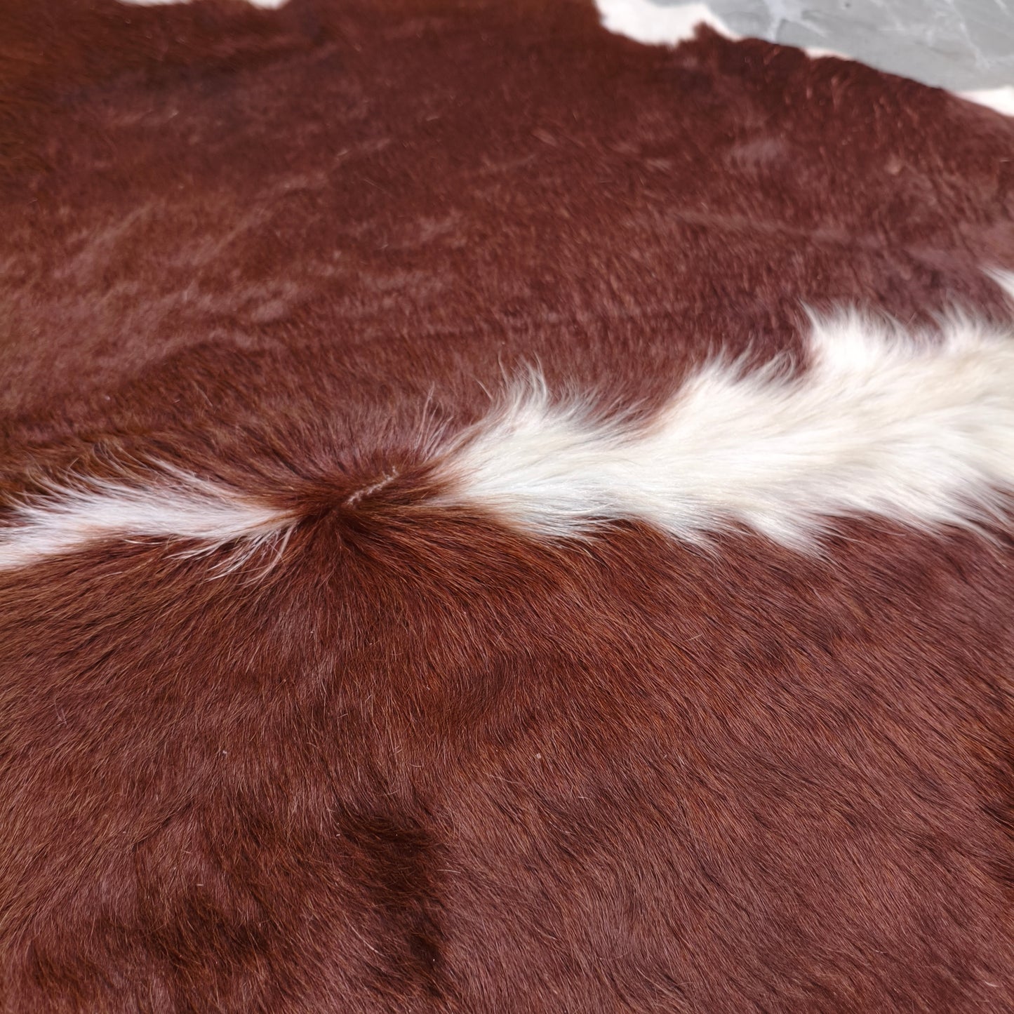 Tapete Bovino Vermelho e Branco Pelo Alto Sedoso I VB934 I 1,95x1,98m em Couro Legítimo