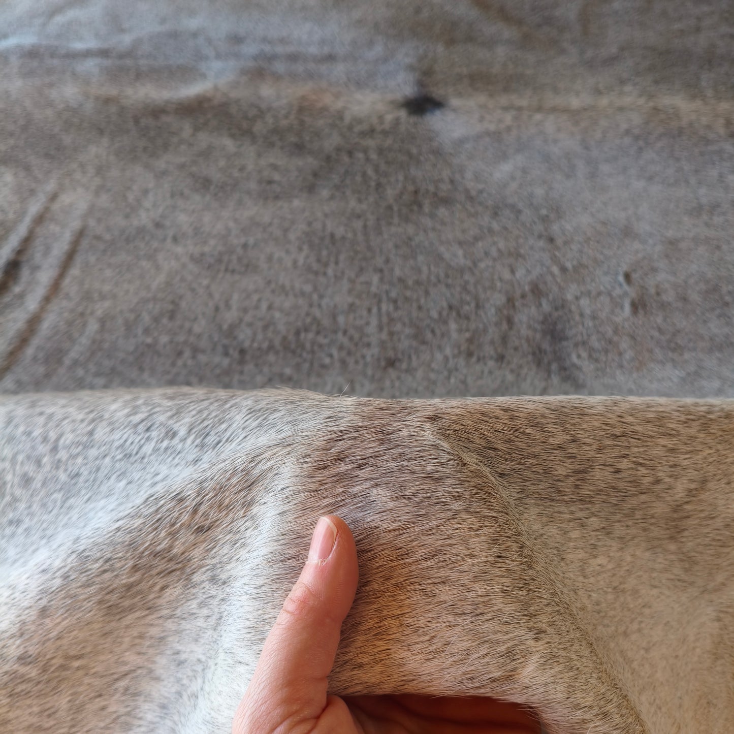 Tapete de couro de boi natural cinza pelo curto macio GR1057 — foto real 3