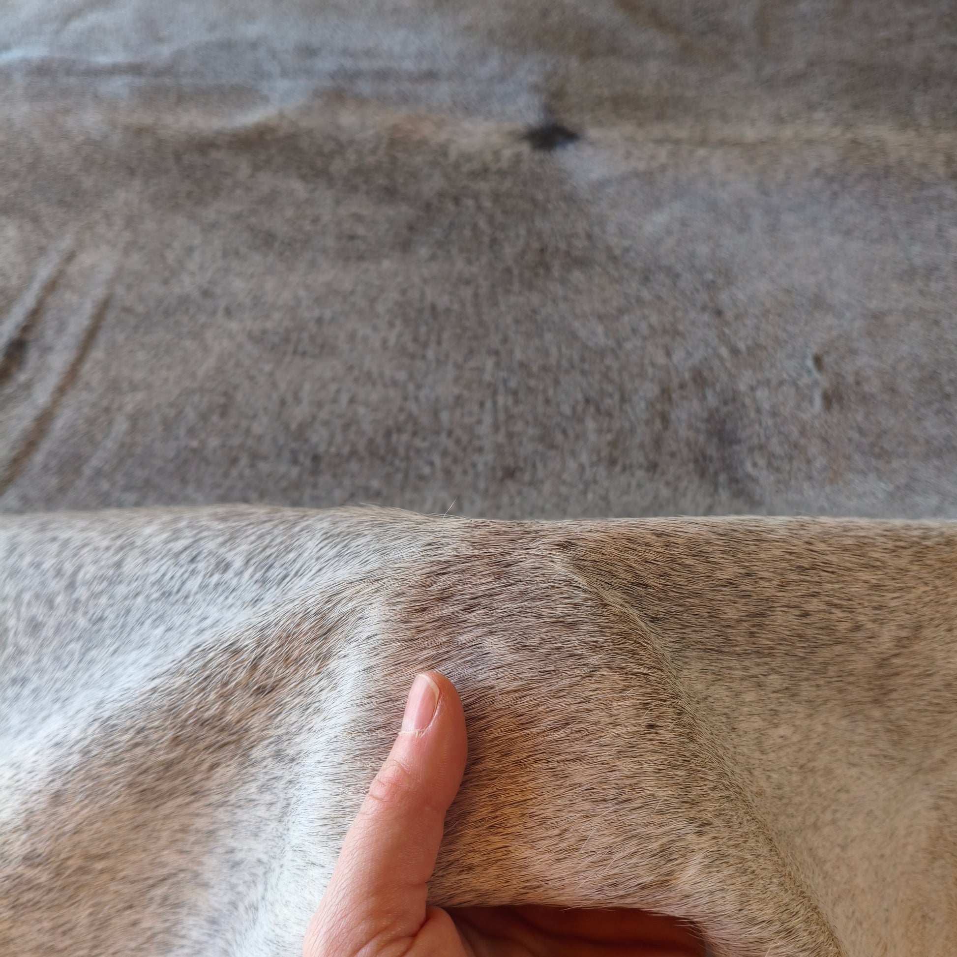 Tapete de couro de boi natural cinza pelo curto macio GR1057 — foto real 3