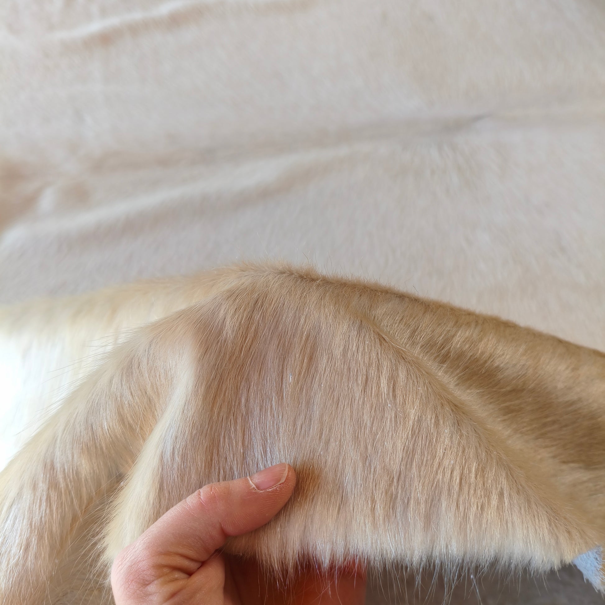 Tapete de couro de boi branco e dourado pelo curto BRA1055 — foto real 3