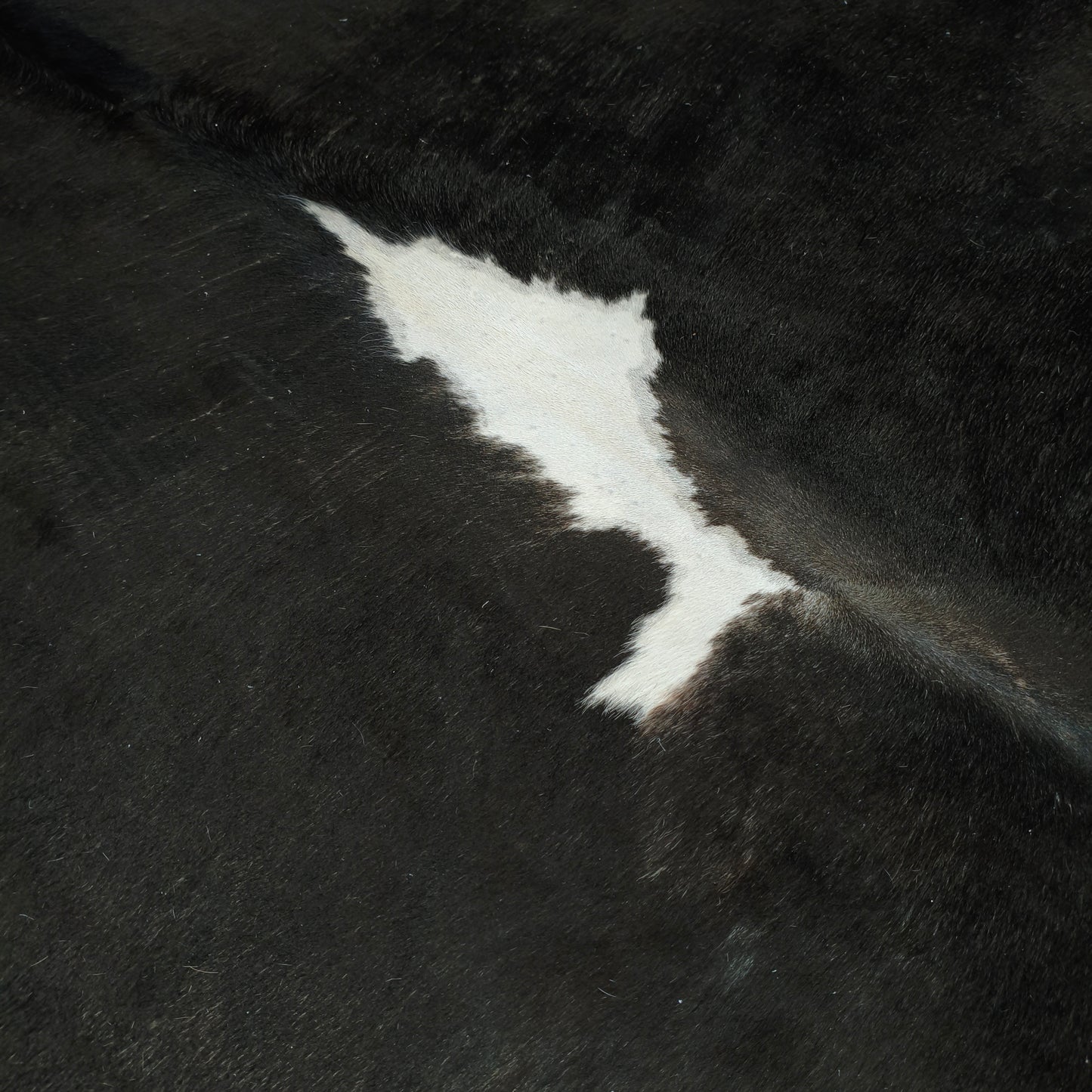 Tapete Bovino Natural Preto e Branco Pelo Curto I Pb1089 I 1,98x1,97 m em Couro Legítimo
