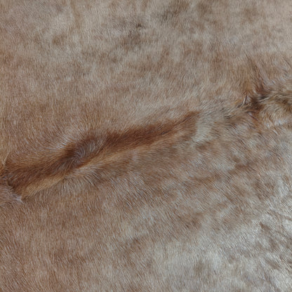 Tapete de couro de boi bege claro BC988 — foto real 2