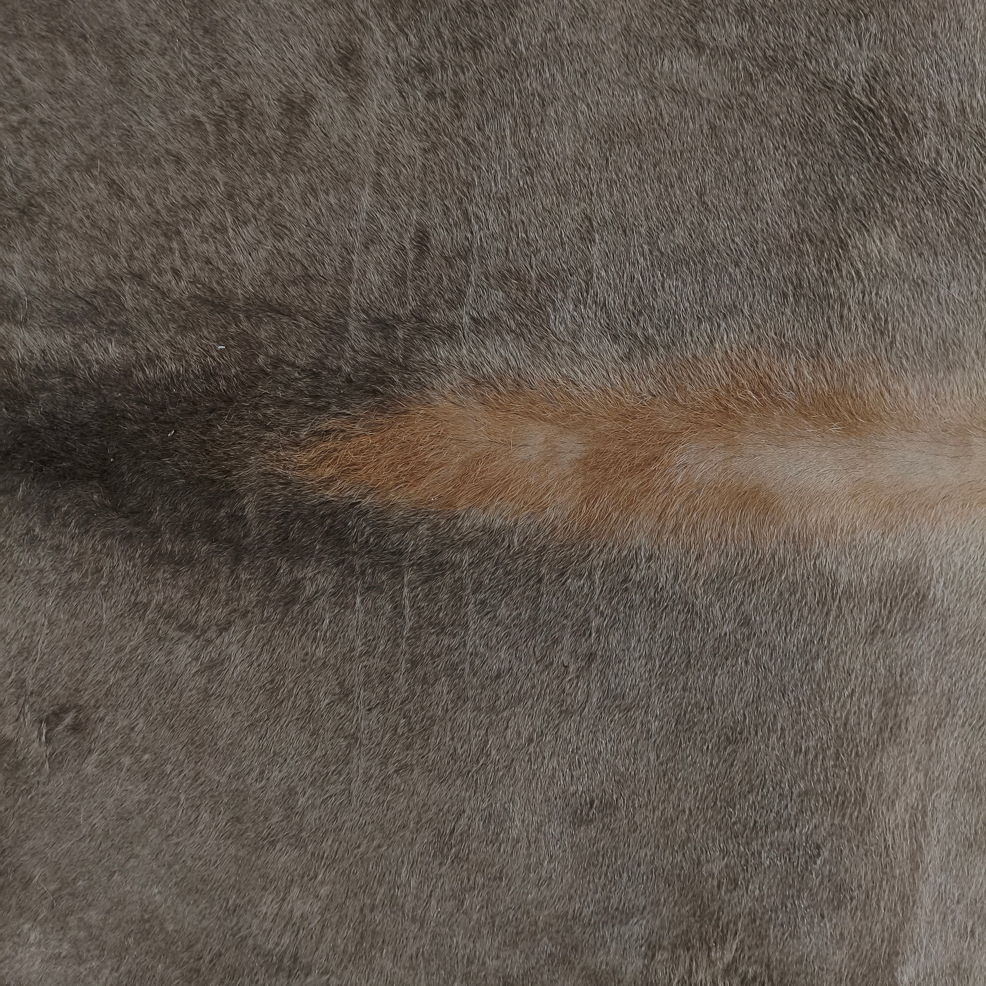 Tapete de couro de boi chumbo CH1068 — foto real 2