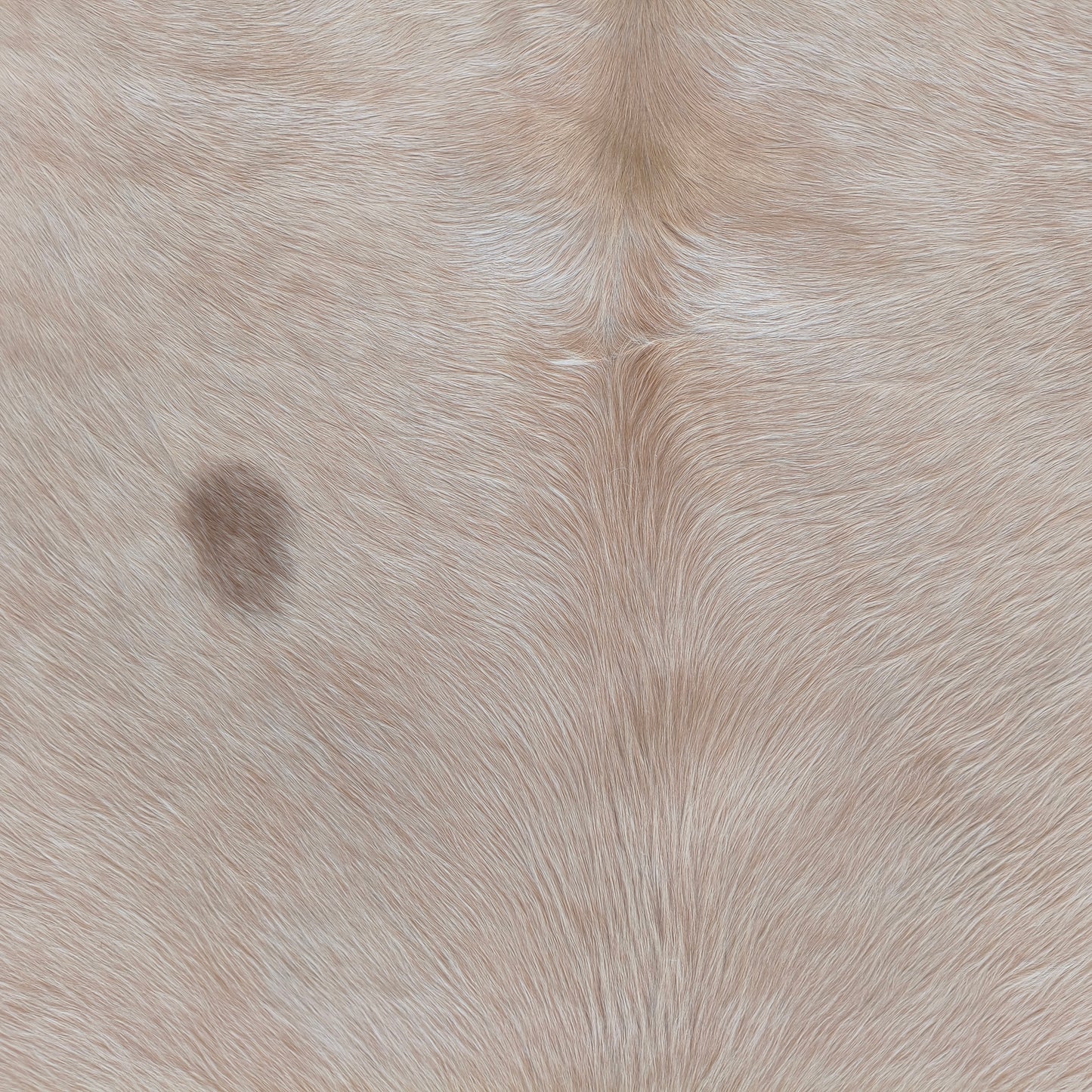 Tapete de couro de boi bege claro sedoso BC1060 — foto real 2