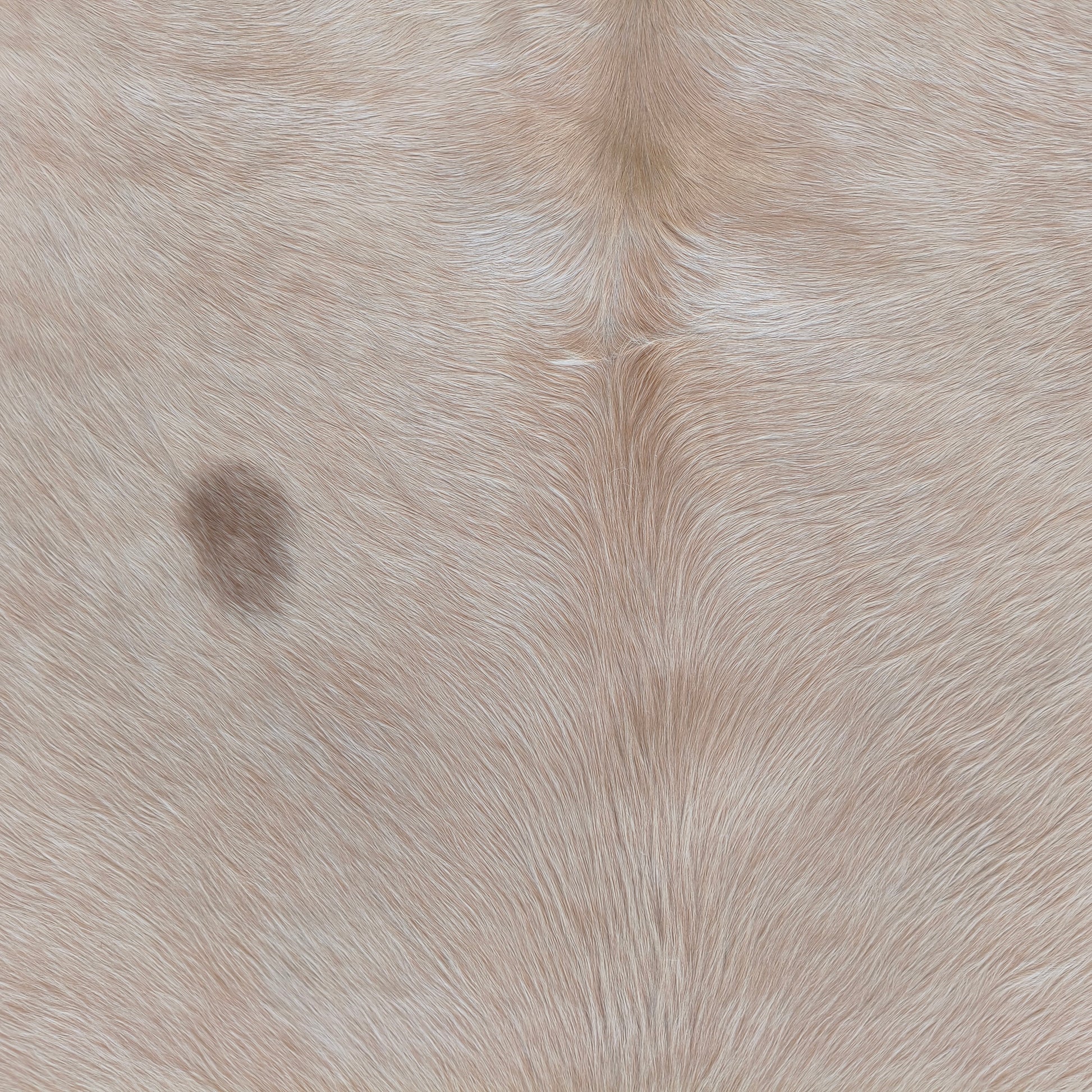 Tapete de couro de boi bege claro sedoso BC1060 — foto real 2