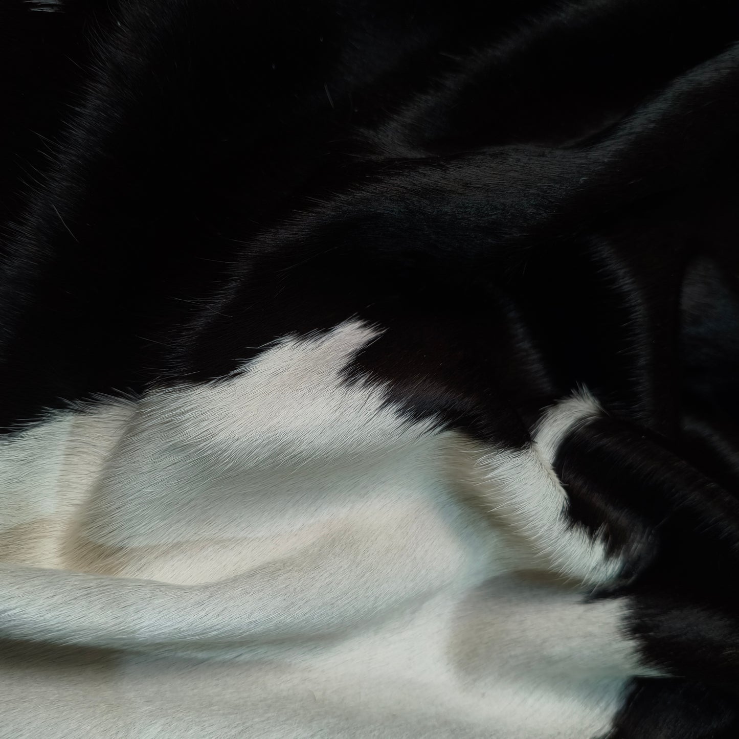 Tapete Bovino Natural Preto e Branco Pela Macia  I PB947 I 2,29x1,91m