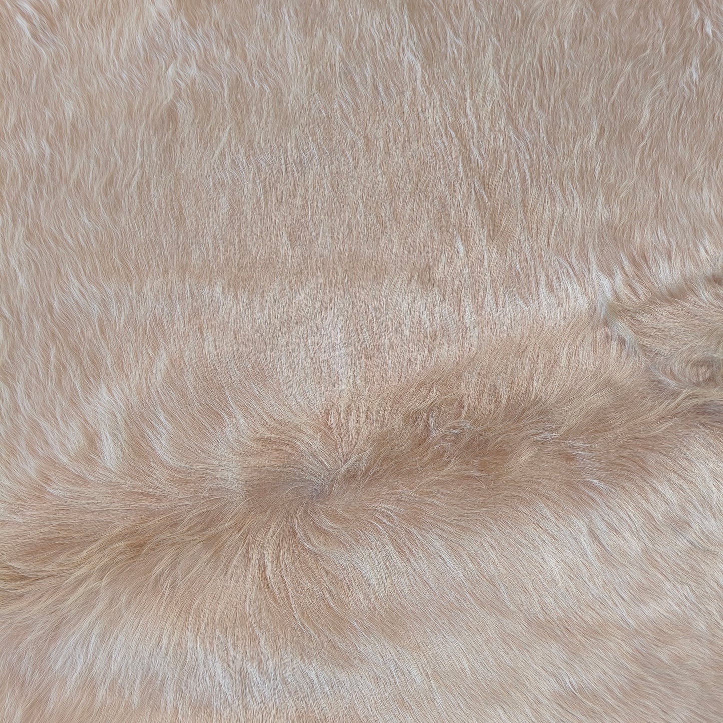 Tapete de couro de boi bege claro pelo alto sedoso BC980 — foto real 2