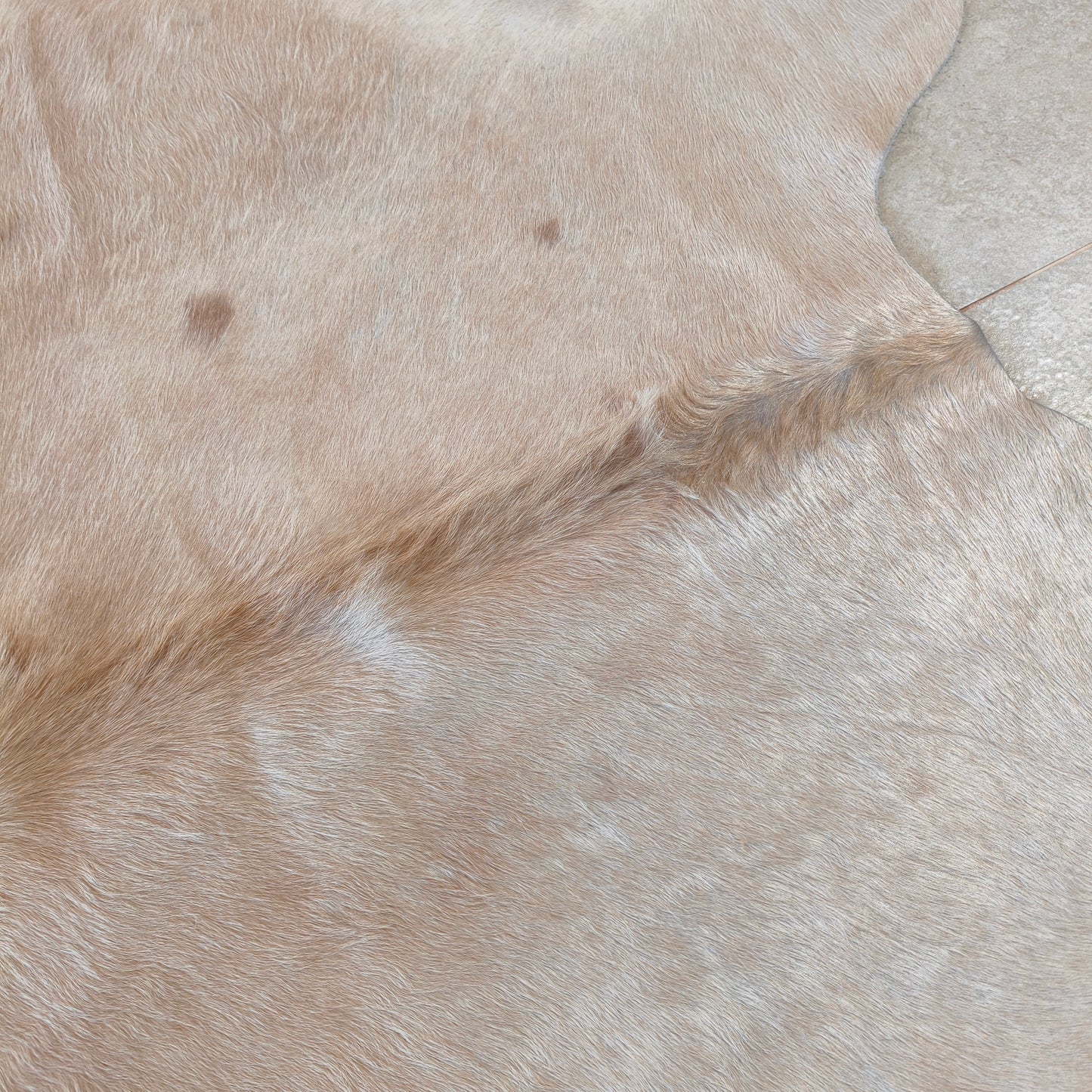 Tapete de couro de boi bege claro BC993 — foto real 2