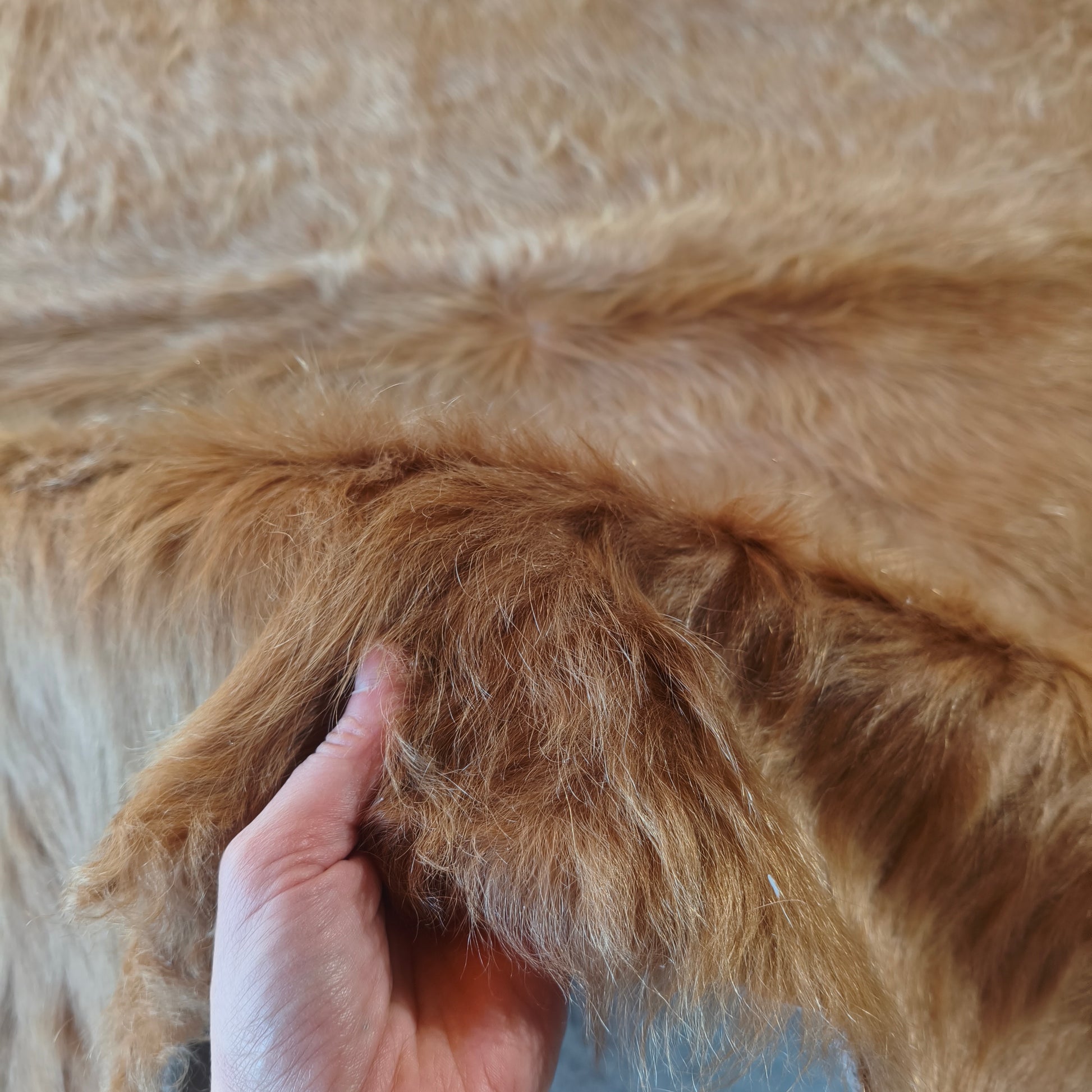 Tapete de couro de boi marrom gold BC991 — foto real 3
