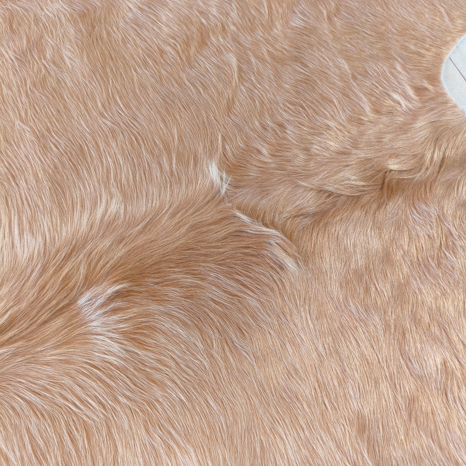 Tapete de couro de boi bege e branco brilhoso BC981 — foto real 2