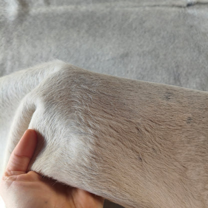 Tapete de couro de boi natural cinza e branco pelo curto macio GR1050 — foto real 3