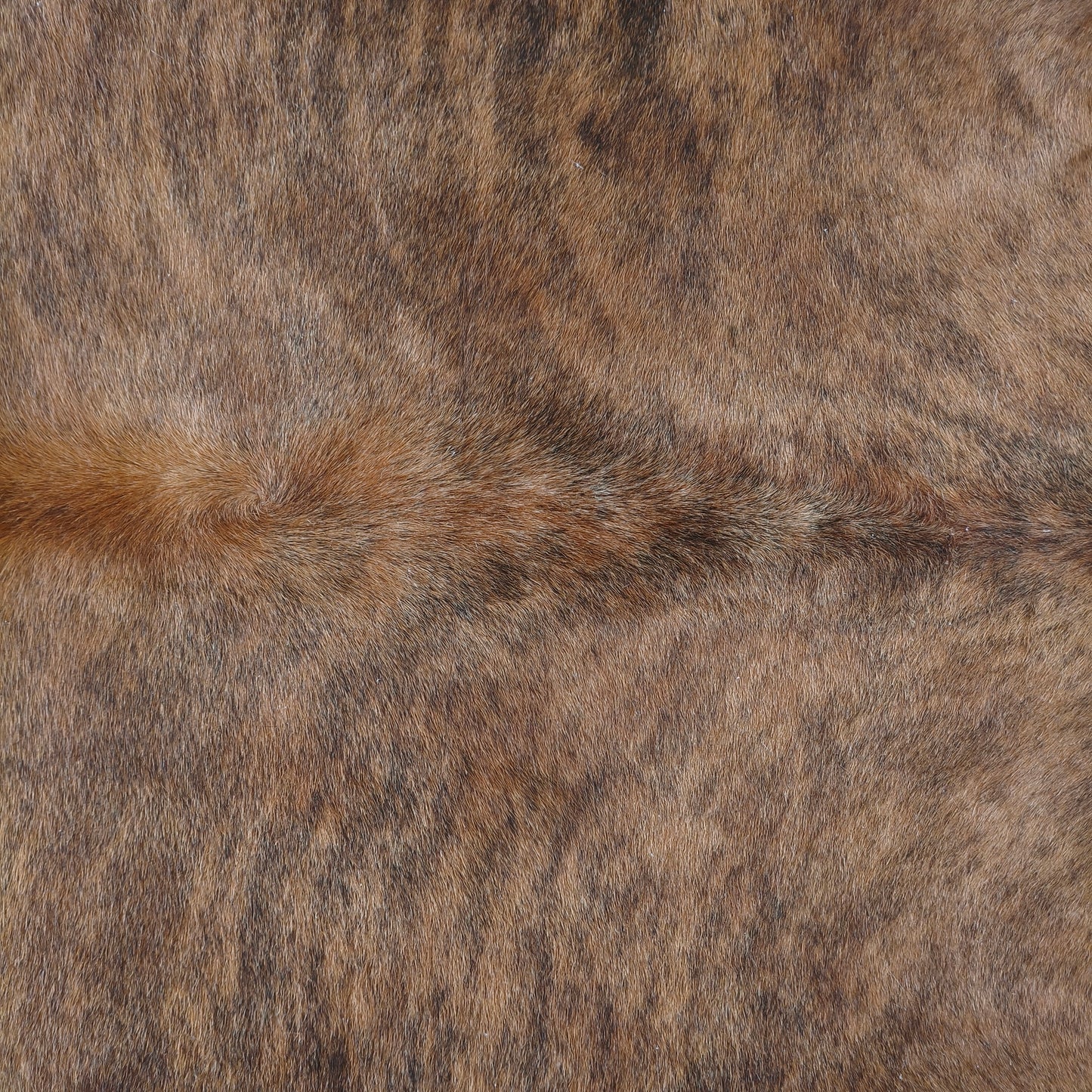 Tapete de couro de boi natural brazino escuro BZE1078 — foto real 4