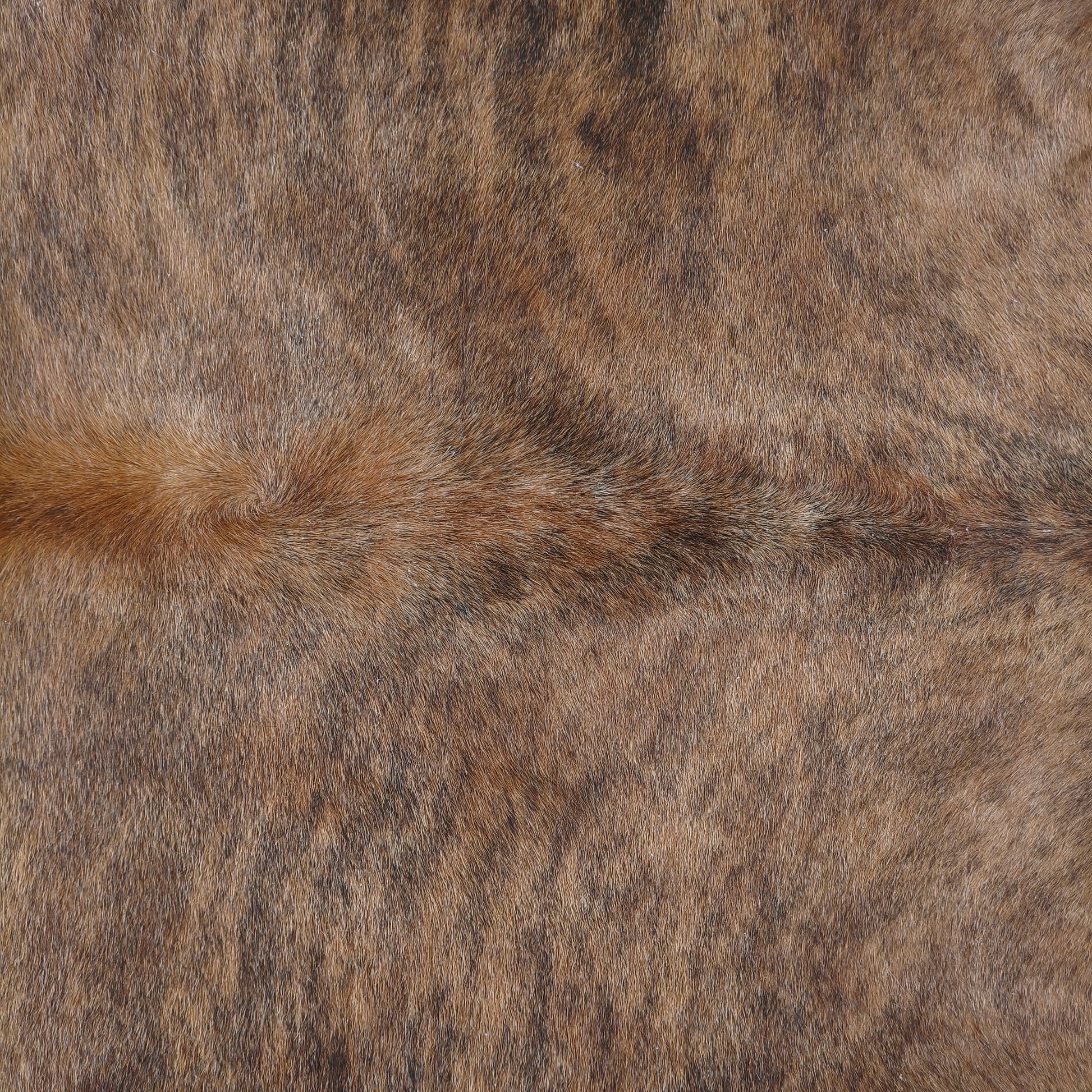Tapete de couro de boi natural brazino escuro BZE1078 — foto real 4