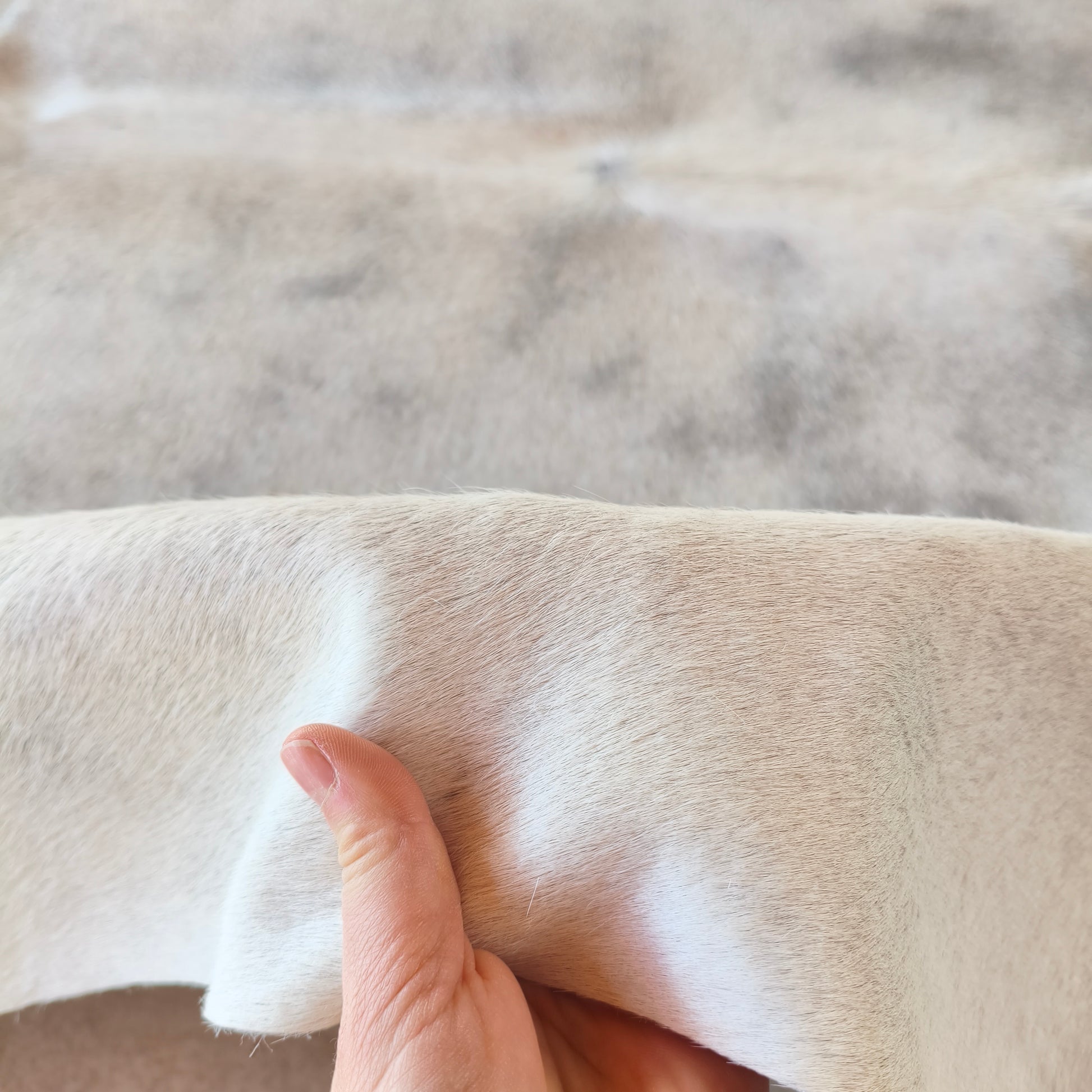 Tapete de couro de boi natural cinza e branco pelo curto macio GR1053 — foto real 3