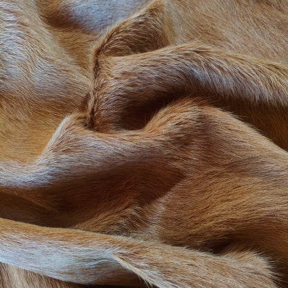 Tapete de couro de boi marrom gold BE985 — foto real 4