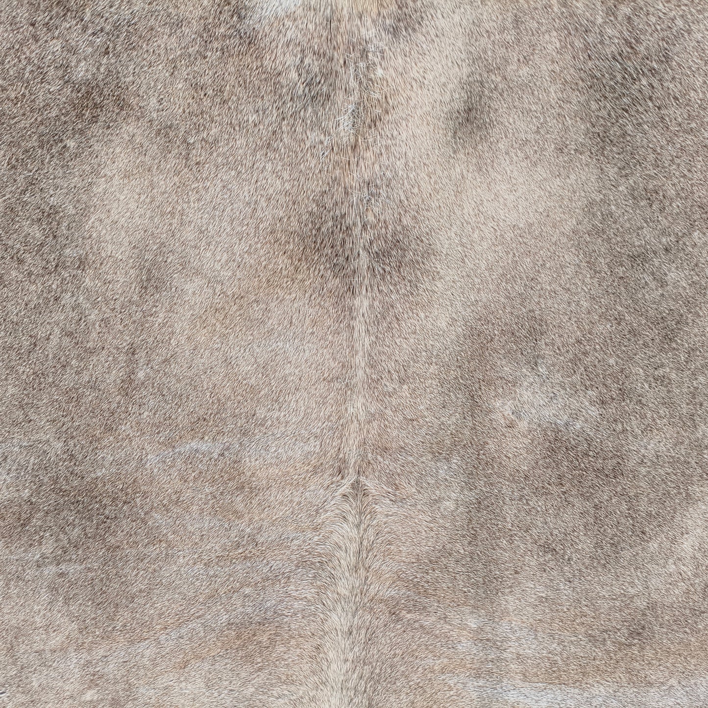 Tapete de couro de boi natural cinza e branco pelo curto macio GR1053 — foto real 2