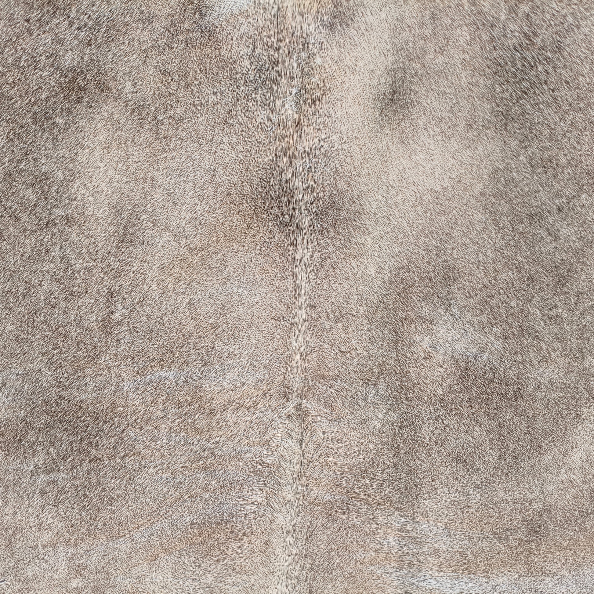 Tapete de couro de boi natural cinza e branco pelo curto macio GR1053 — foto real 2