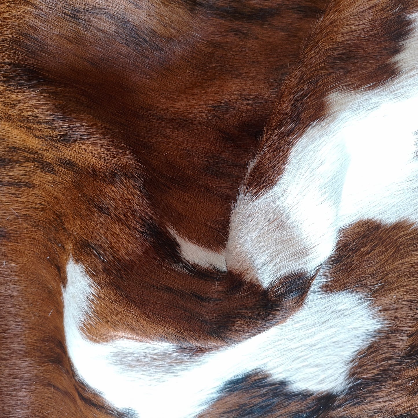 Tapete de couro de boi natural brazino escuro BZE1075 — foto real 5