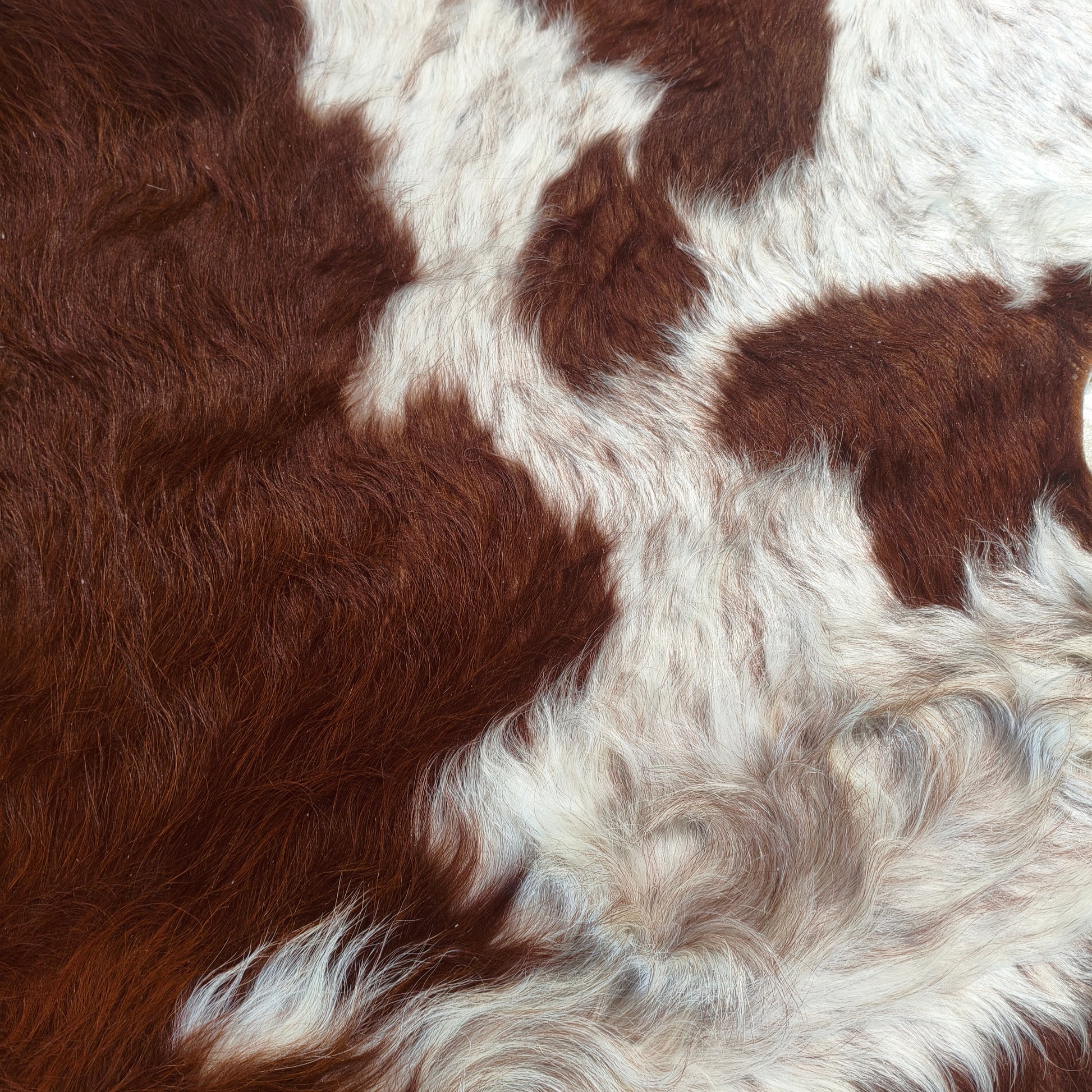 Tapete de couro de boi vermelho e branco pelo alto VB1010 — foto real 2
