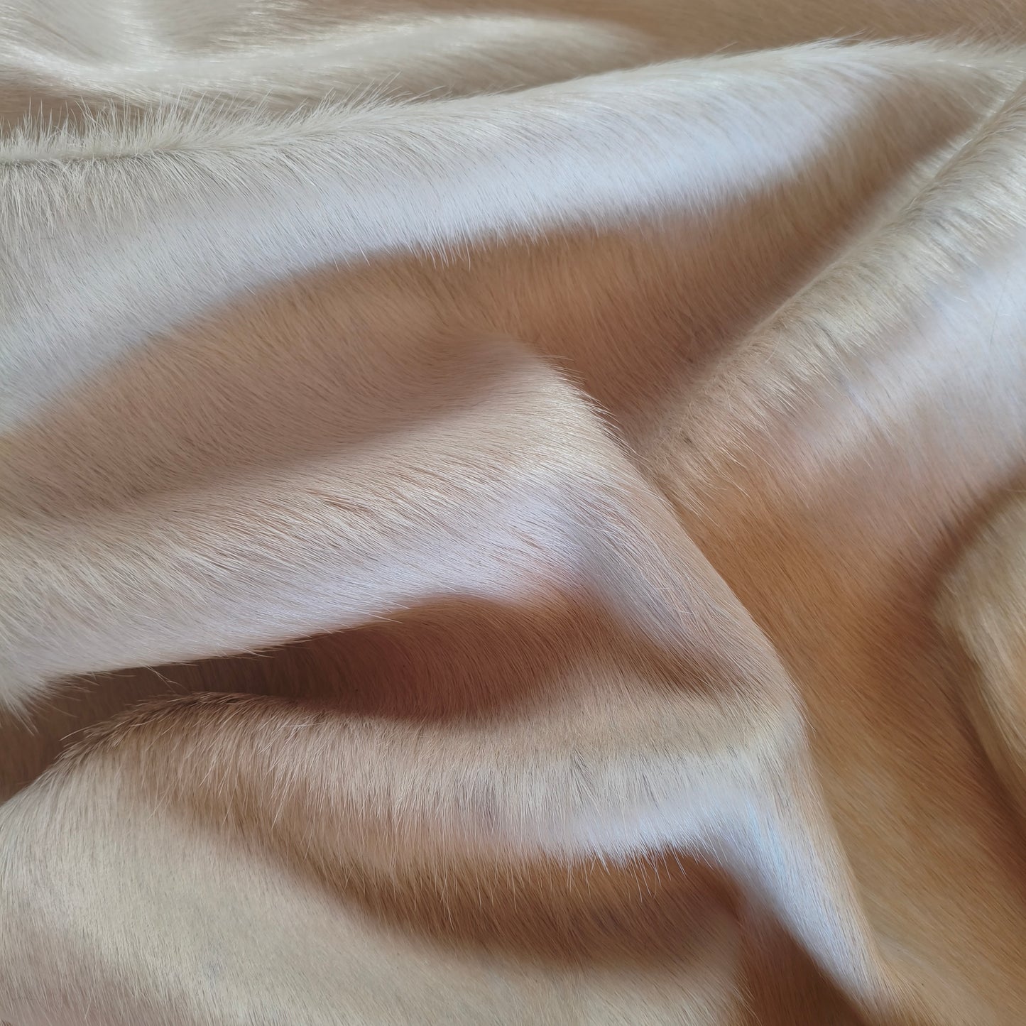 Tapete de couro de boi branco e dourado pelo curto BRA1055 — foto real 4