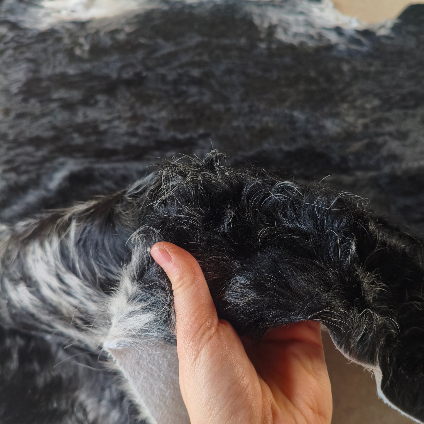 Tapete de couro de boi natural preto e branco pelo alto PB1045 — foto real 3