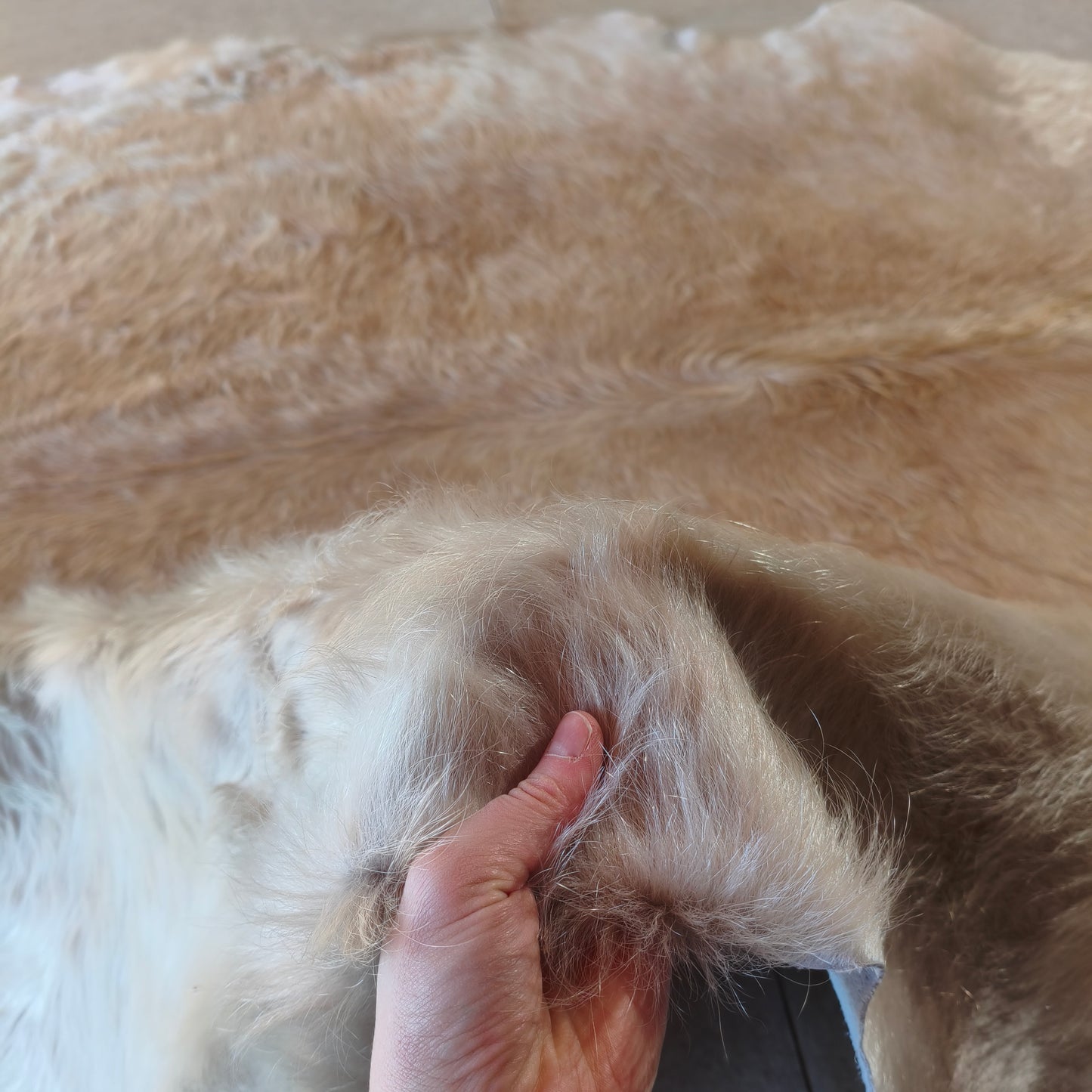 Tapete de couro de boi bege claro pelo alto BC989 — foto real 3