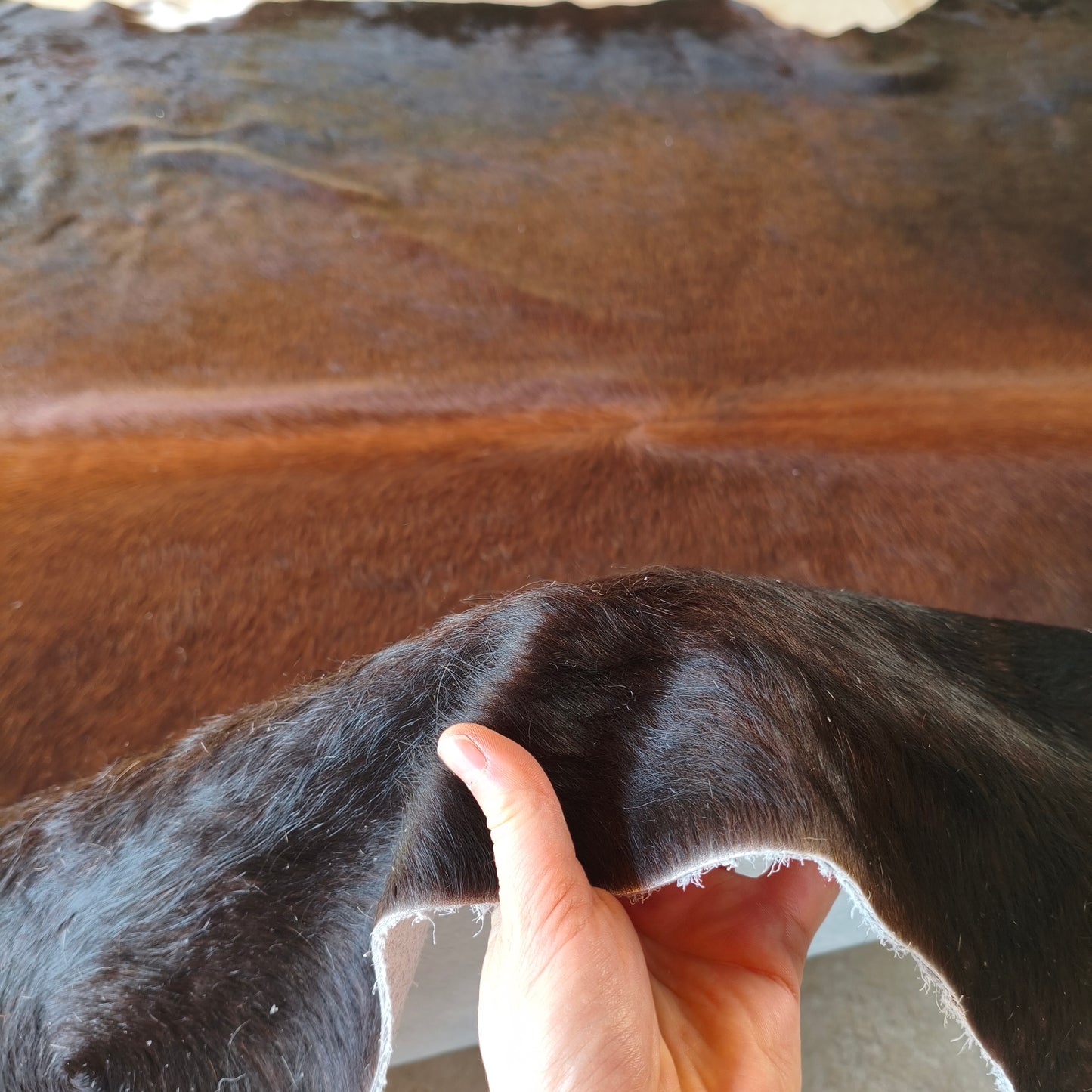 Tapete de couro de boi preto avermelhado OSC1024 — foto real 3