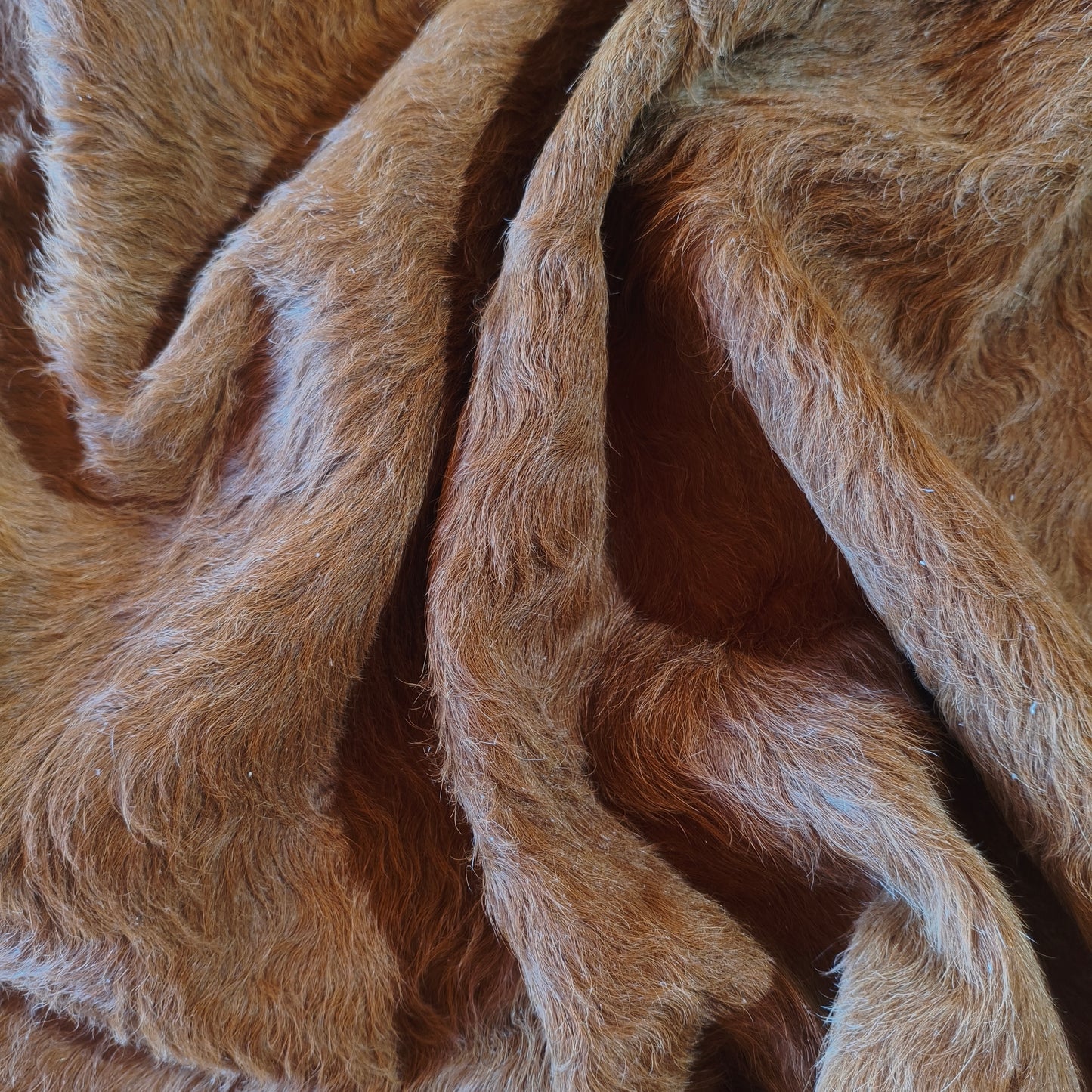 Tapete de couro de boi bege escuro pelo curto BE972 — foto real 4
